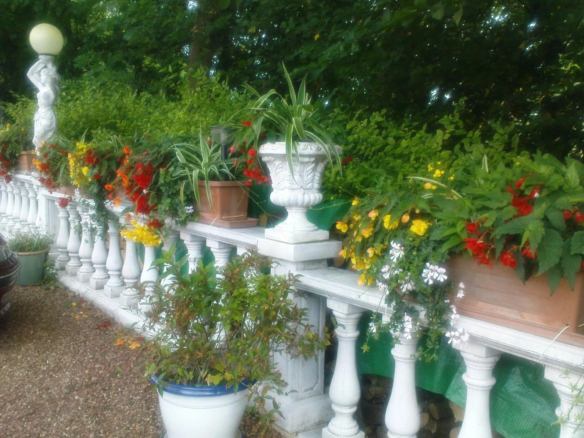 Garden in Chateau La Tour Du Roy