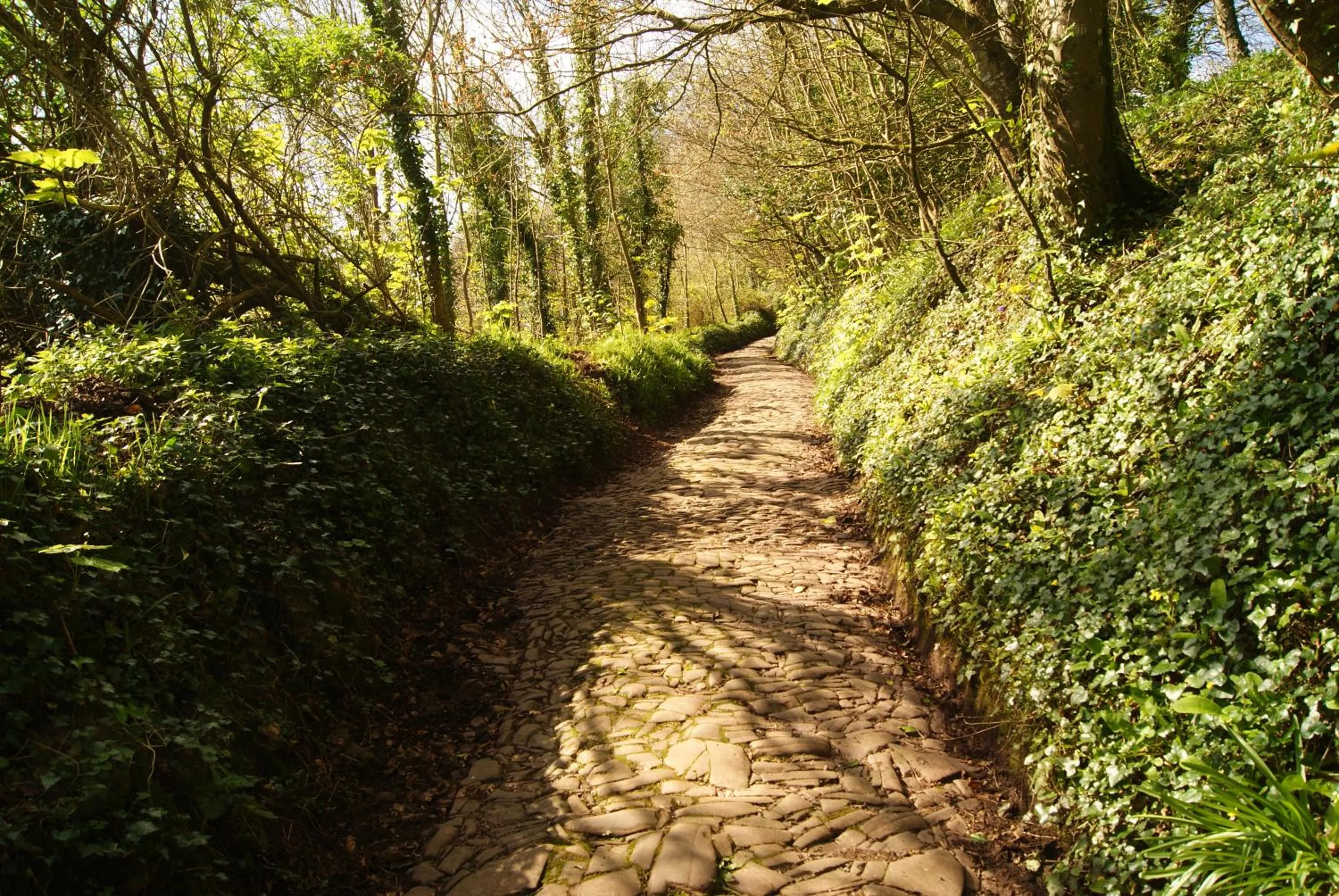 Natural landscape in The Old Smithy Bed & Breakfast