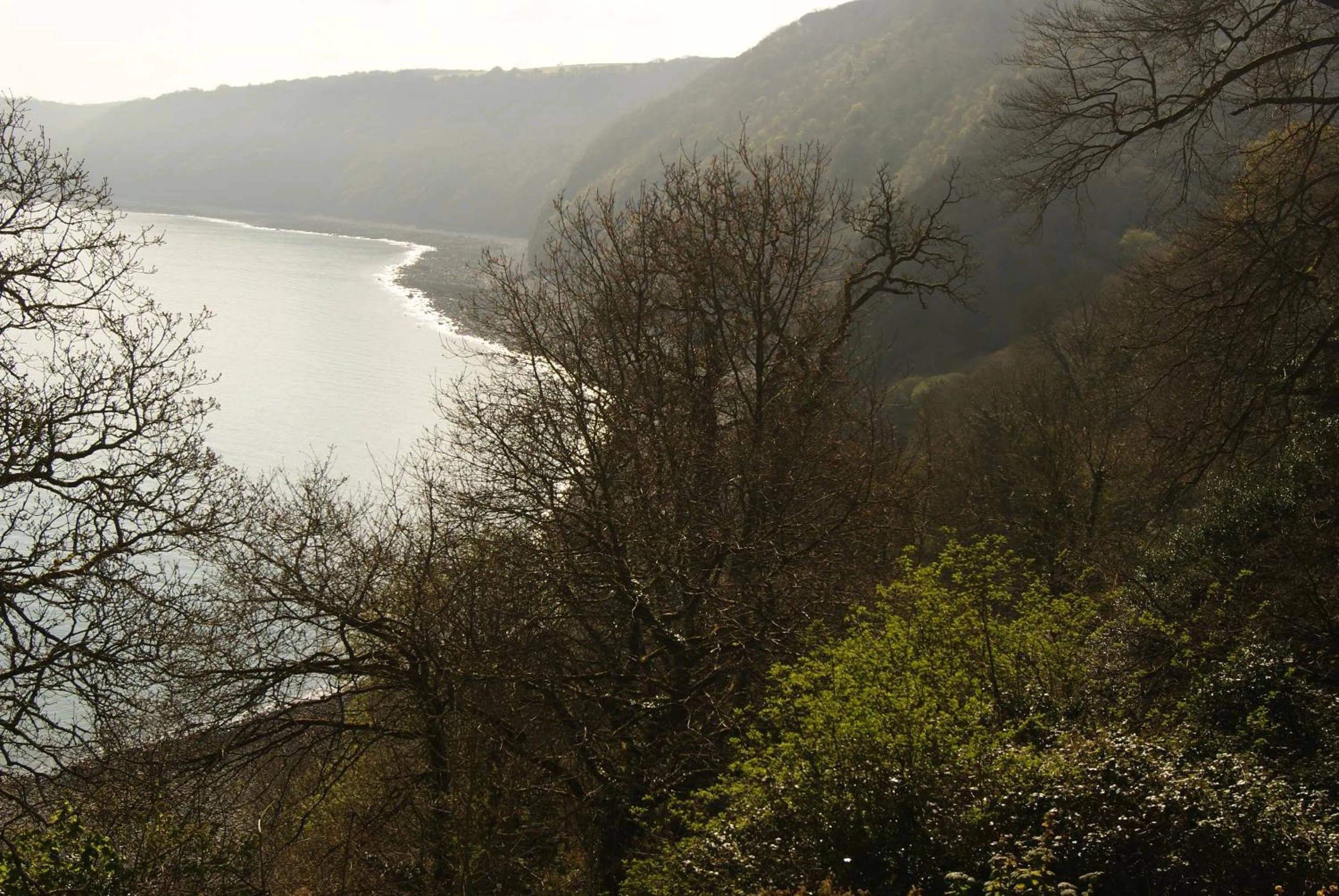 Natural landscape in The Old Smithy Bed & Breakfast