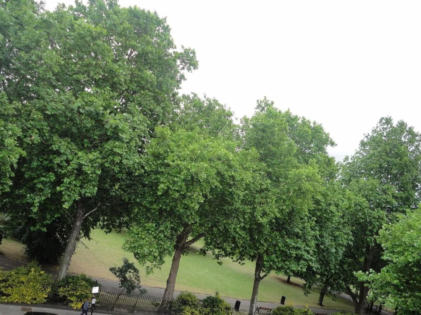 Area and facilities in City View Hotel