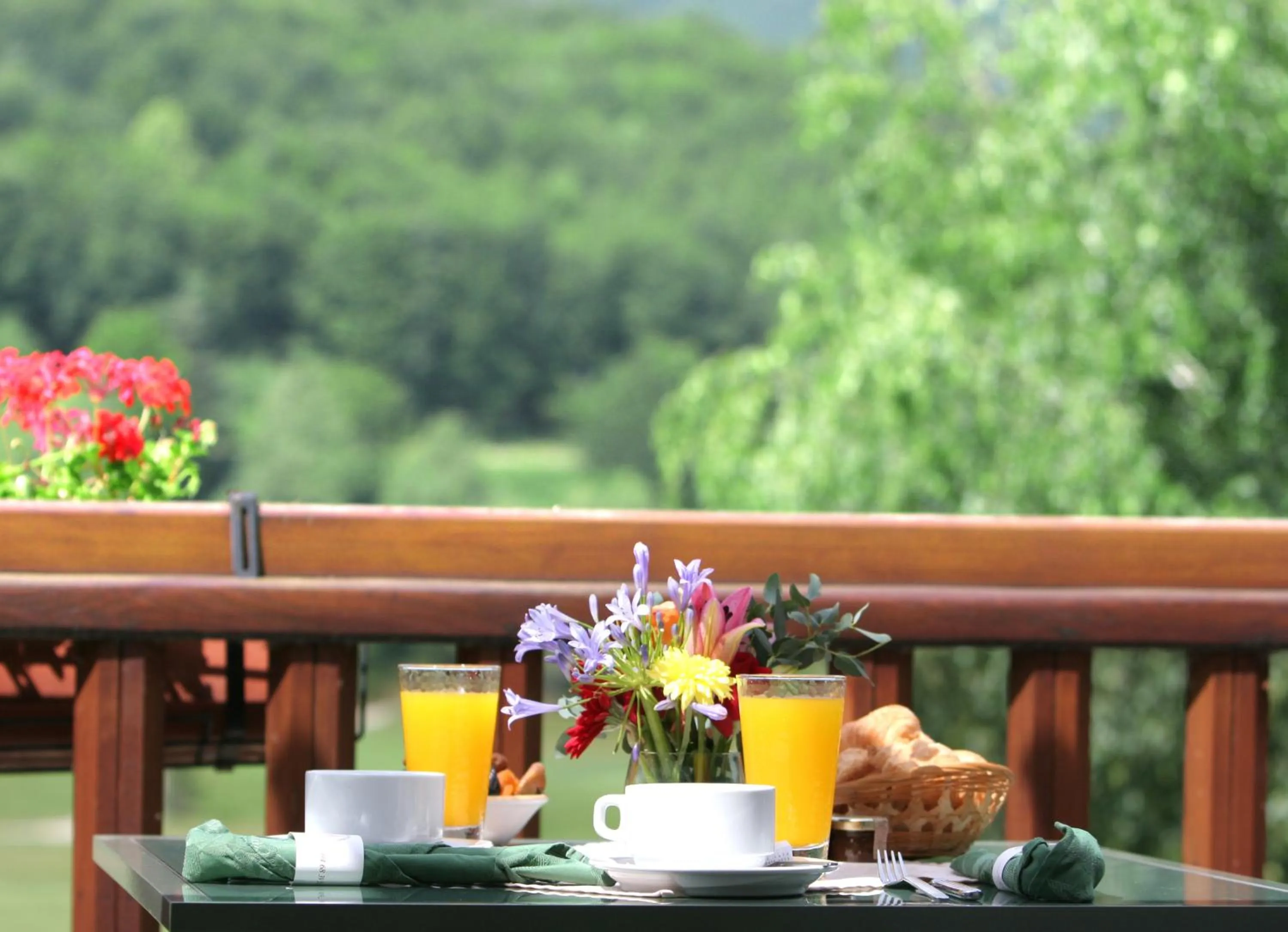 Balcony/Terrace in Le Domaine de Falgos Golf & Spa