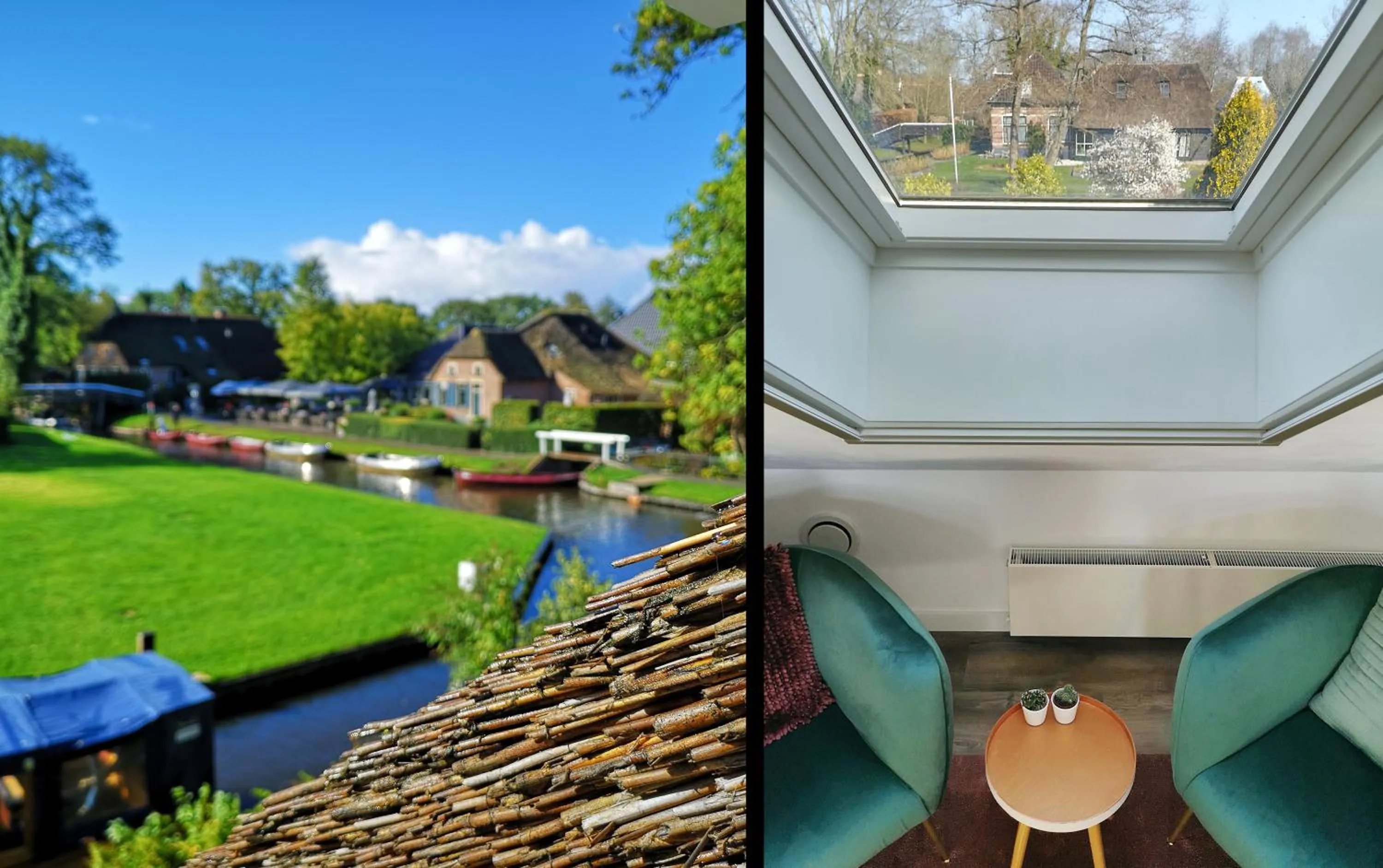 View (from property/room) in The Black Sheep Hostel