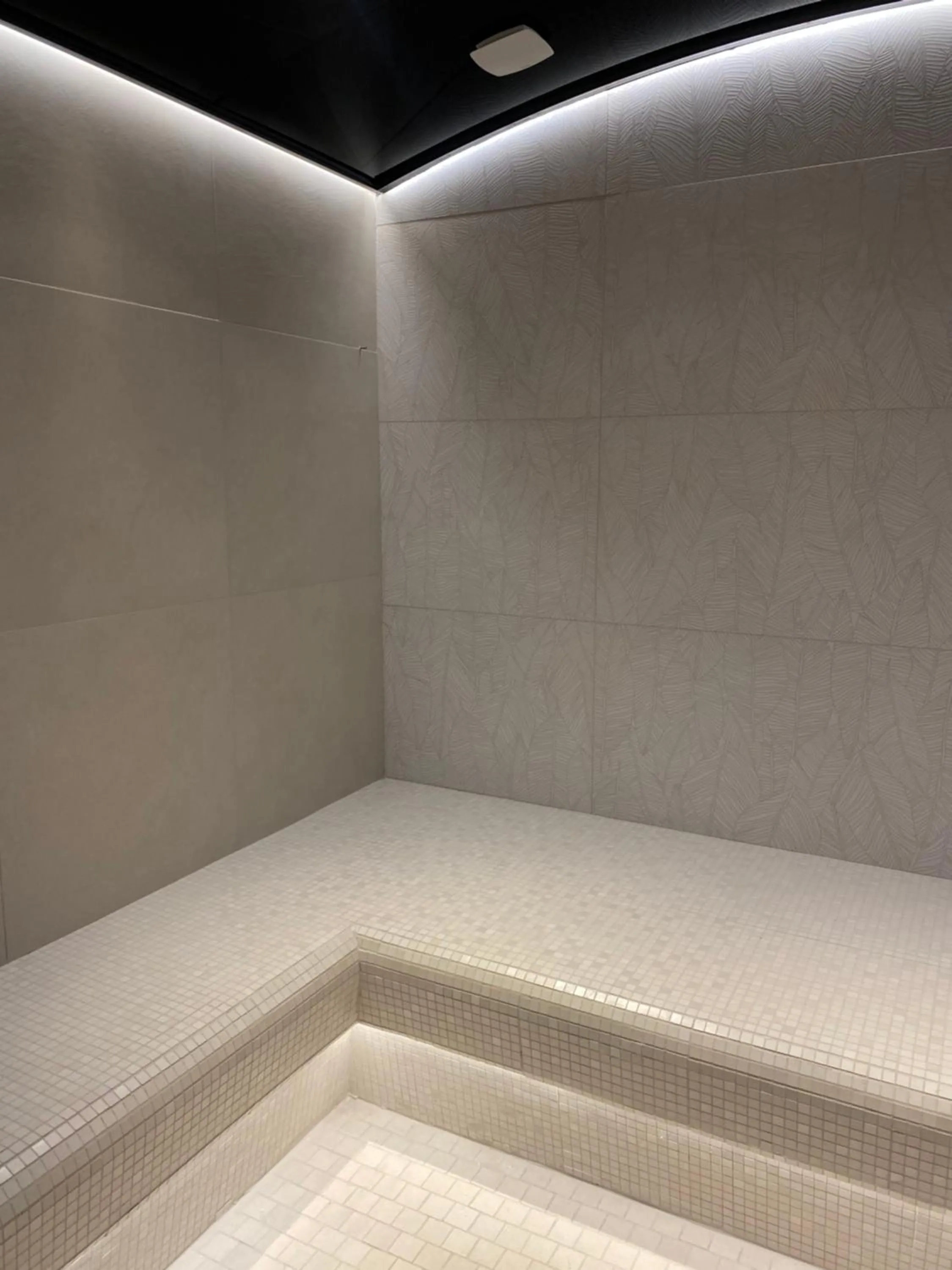 Steam room in Hôtel Aux Vieux Remparts