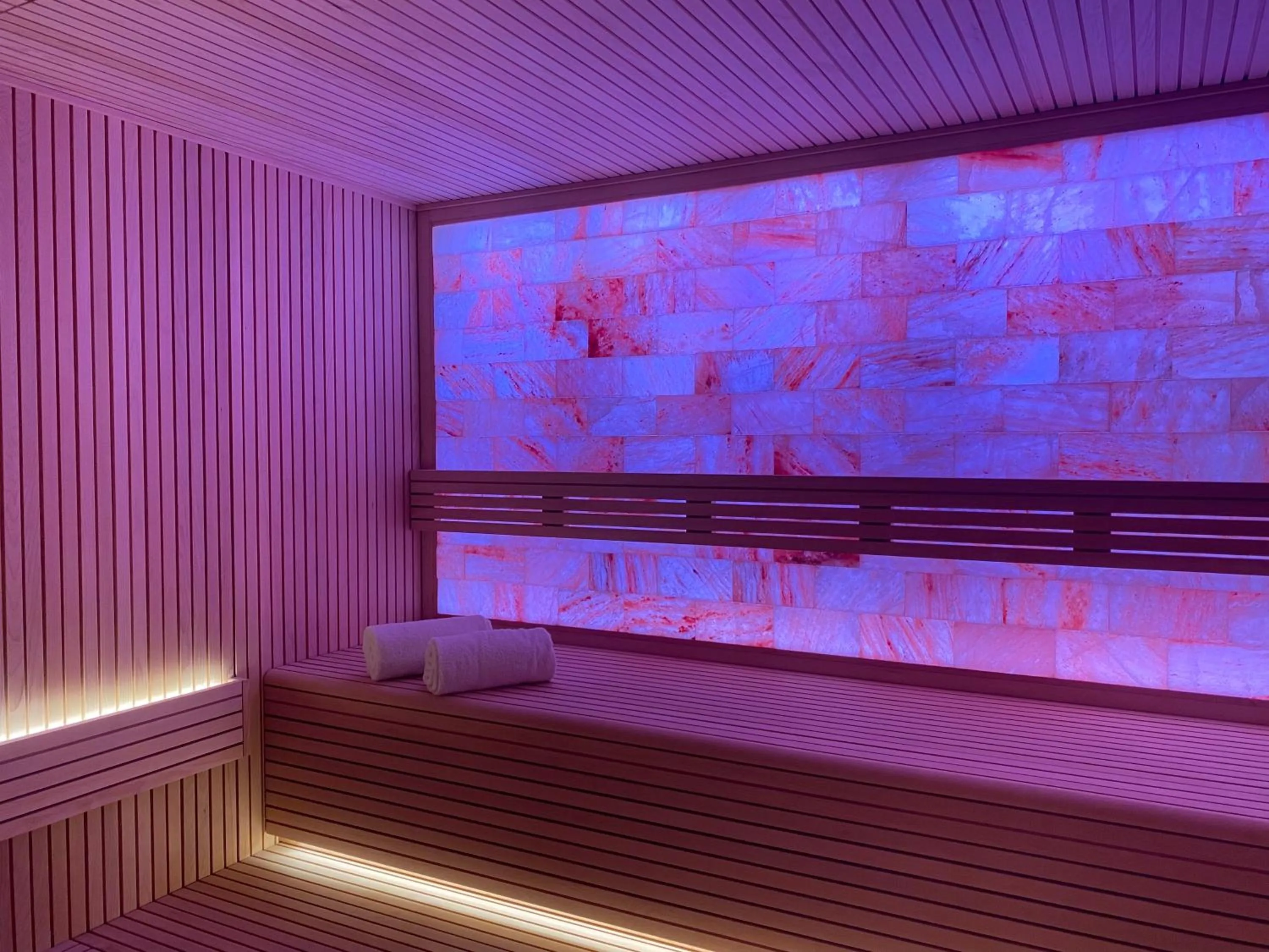 Sauna in Hôtel Aux Vieux Remparts