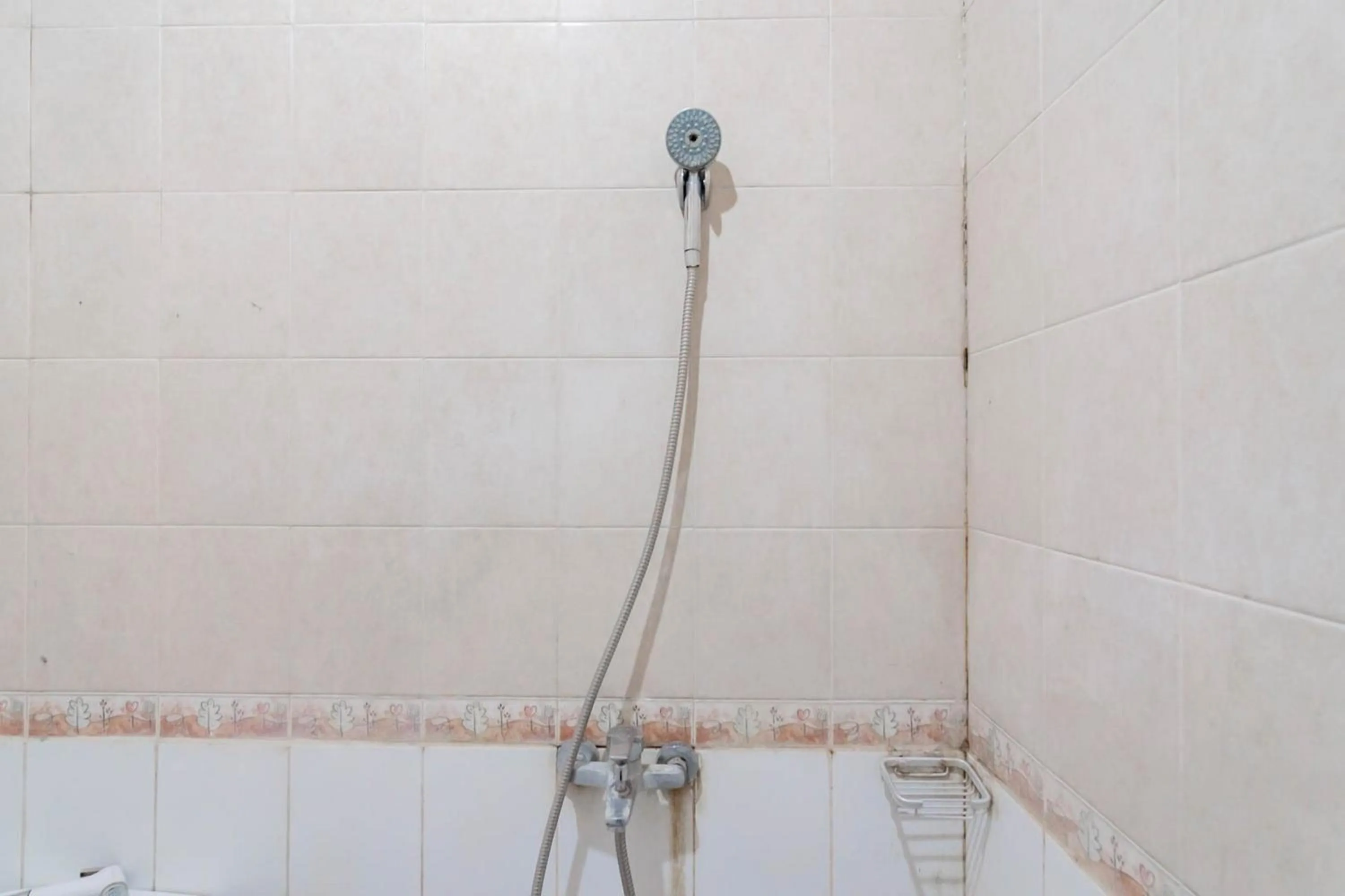 RedDoorz Plus At Hotel Sofia Pangandaran