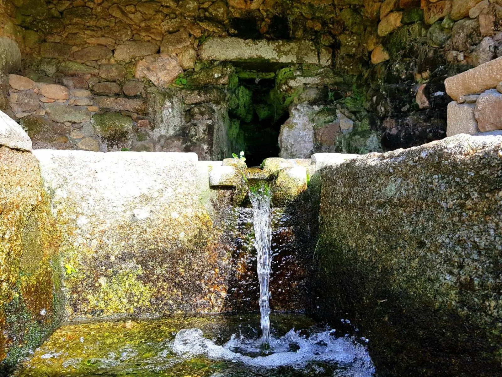 Garden in Monasterio de Moraime