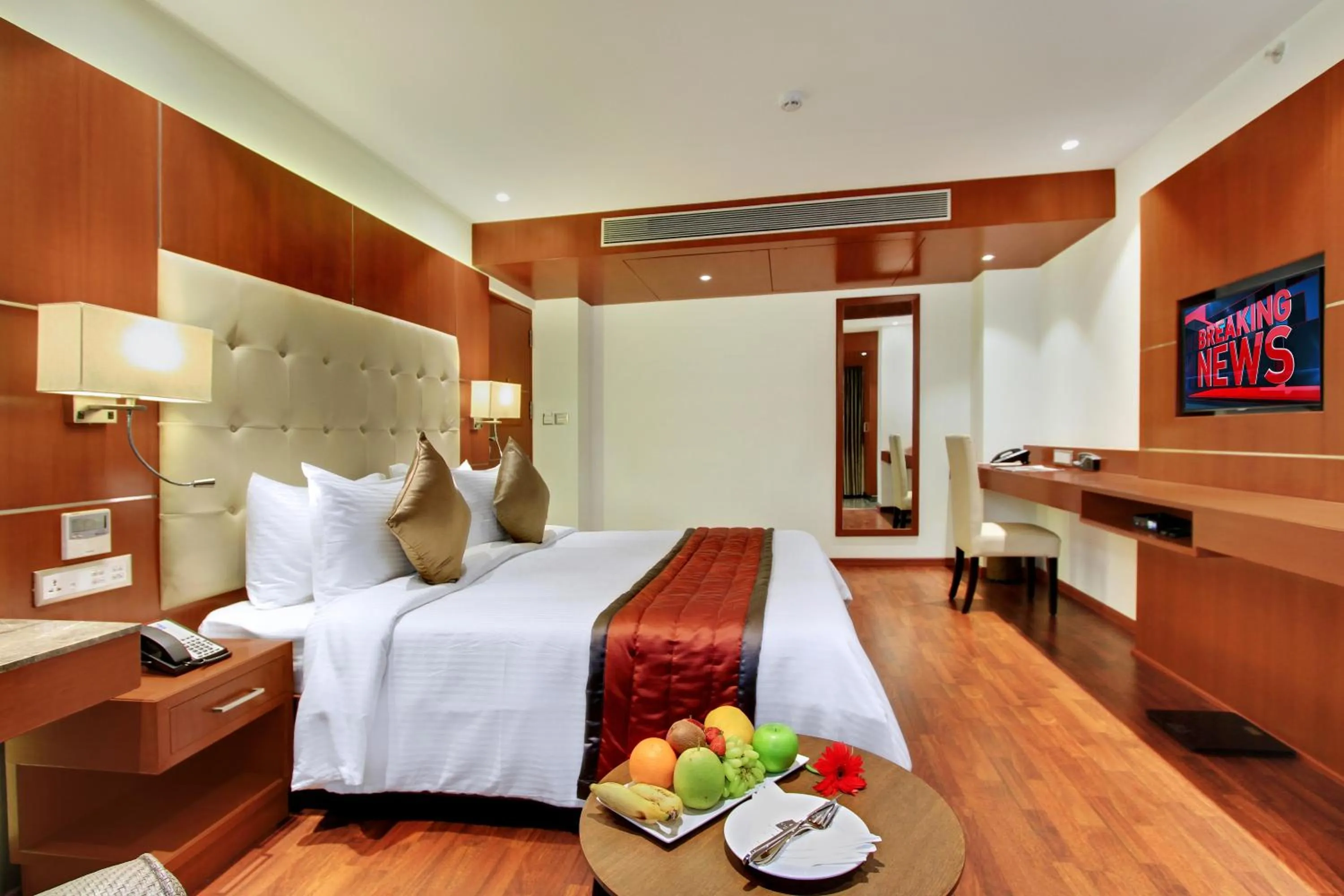 TV and multimedia in Comfort Inn Insys