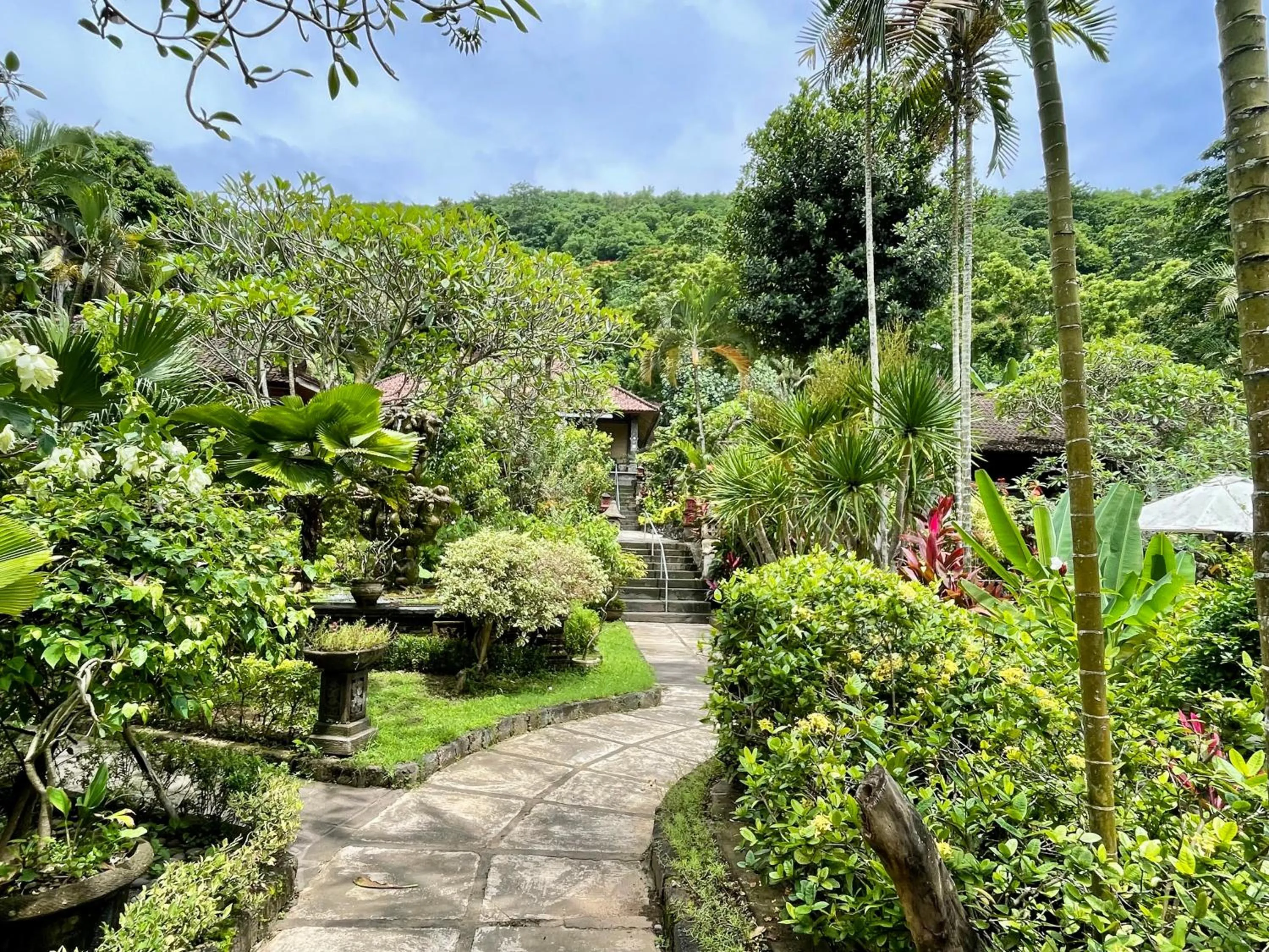 Spring in Dasa Wana - DW Jungle Resort - Candidasa