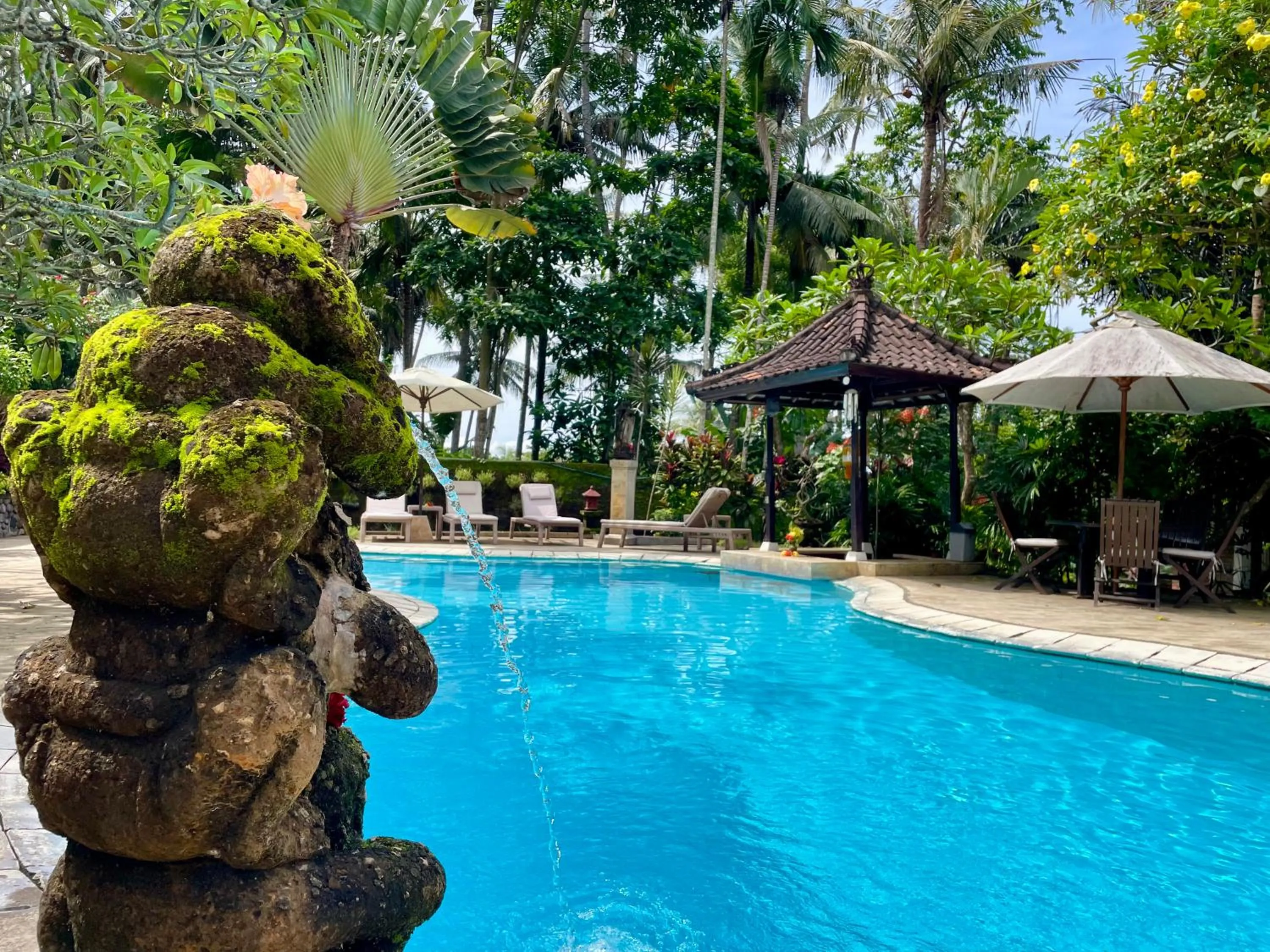 Swimming pool in Dasa Wana - DW Jungle Resort - Candidasa