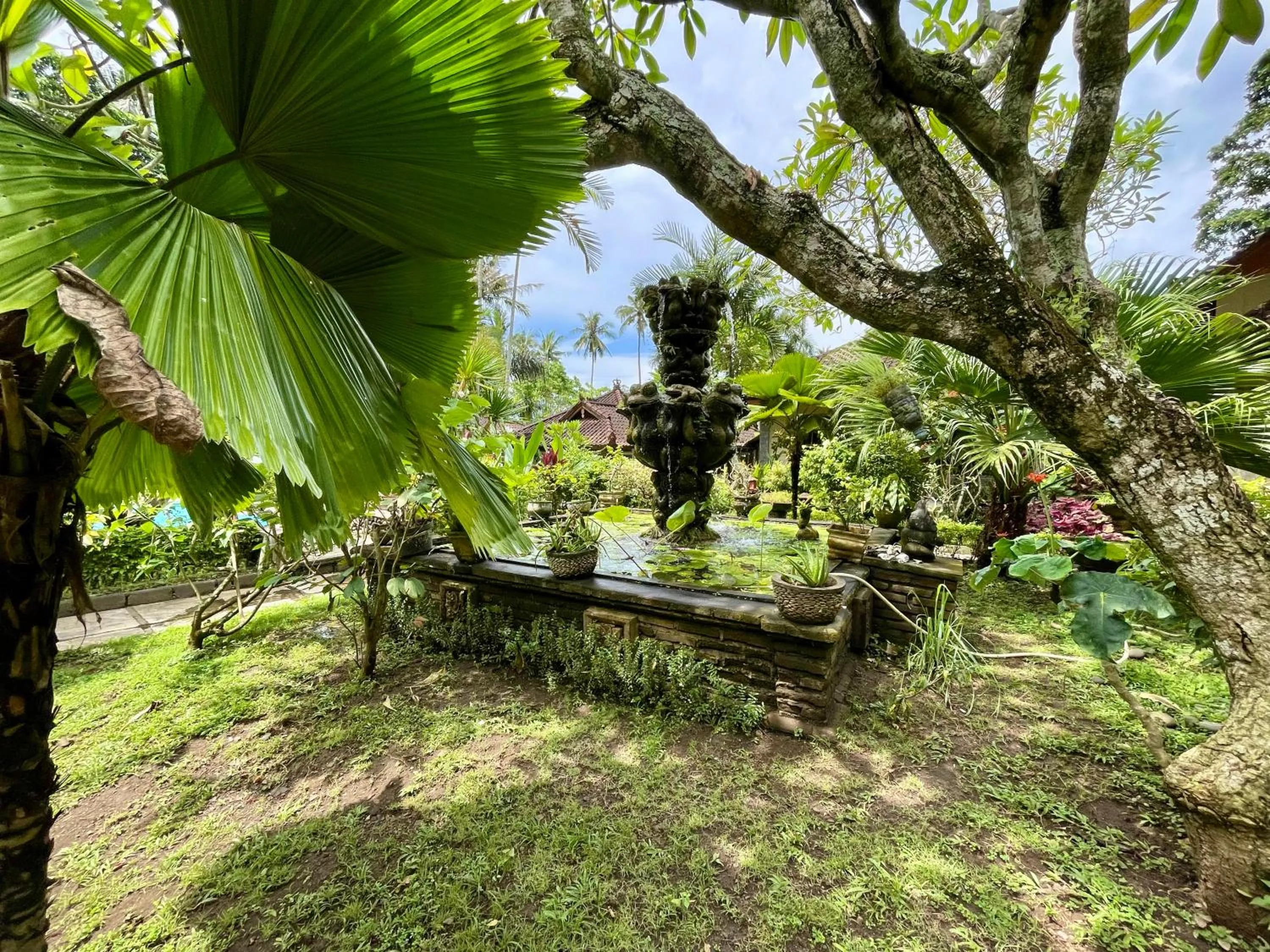 Garden in Dasa Wana - DW Jungle Resort - Candidasa