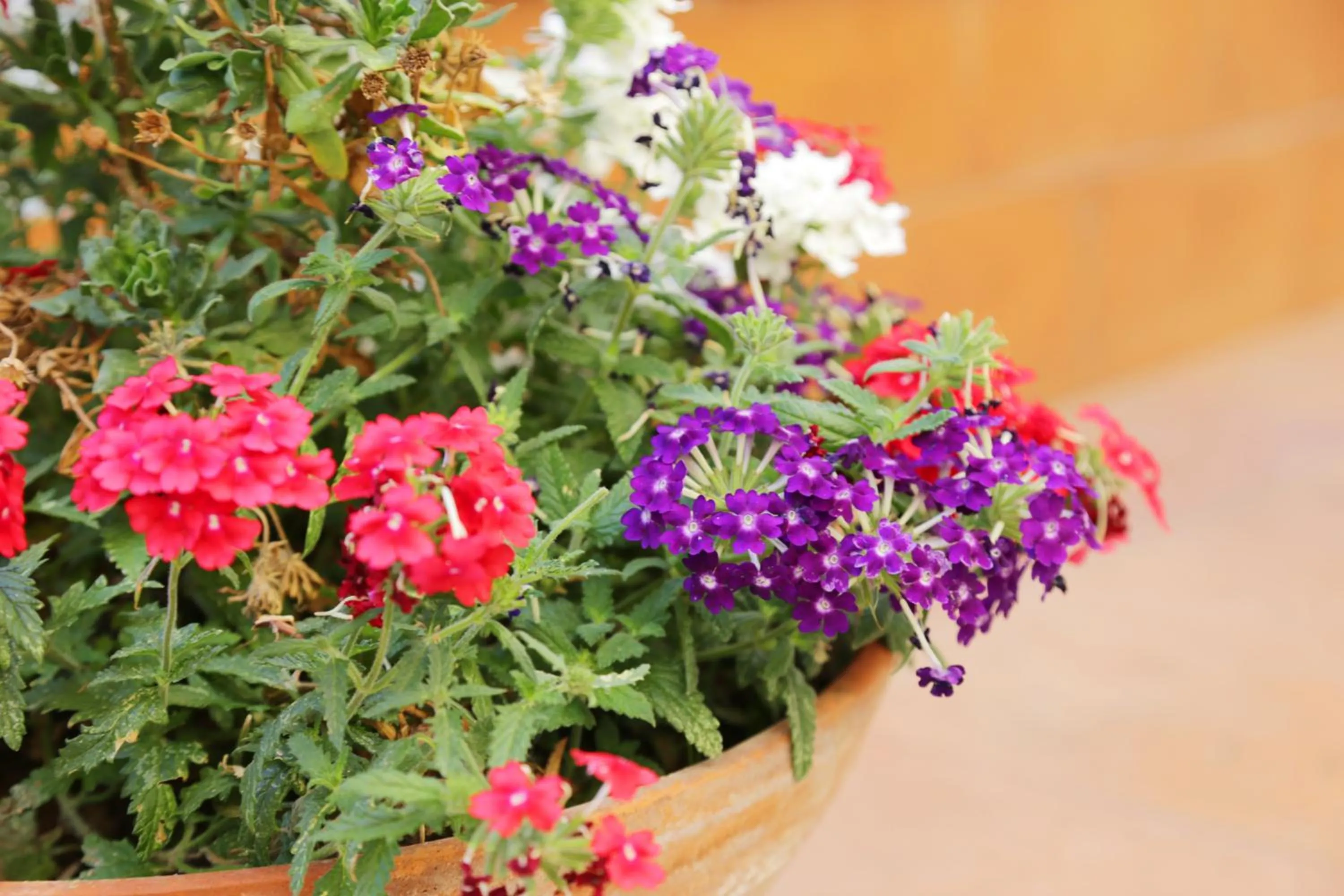 Day in B&b Rosaria Amalfi Coast