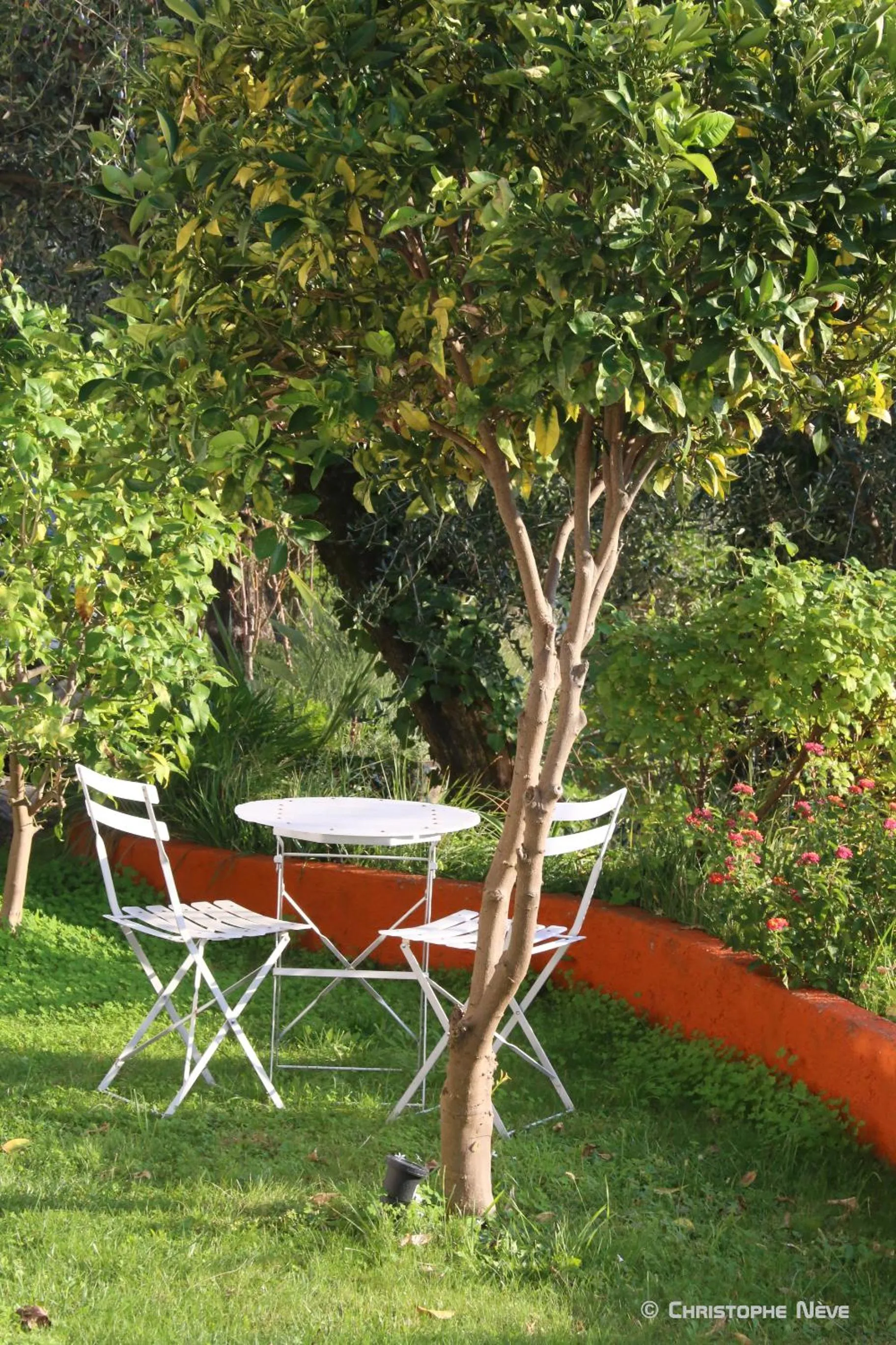 Garden view in Lou Candelou