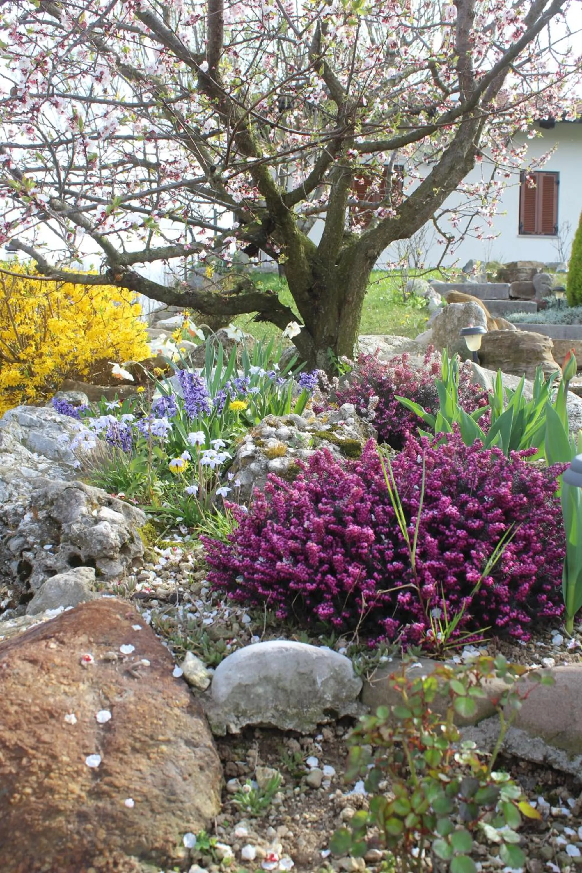 Garden in A Cjase di Sandra