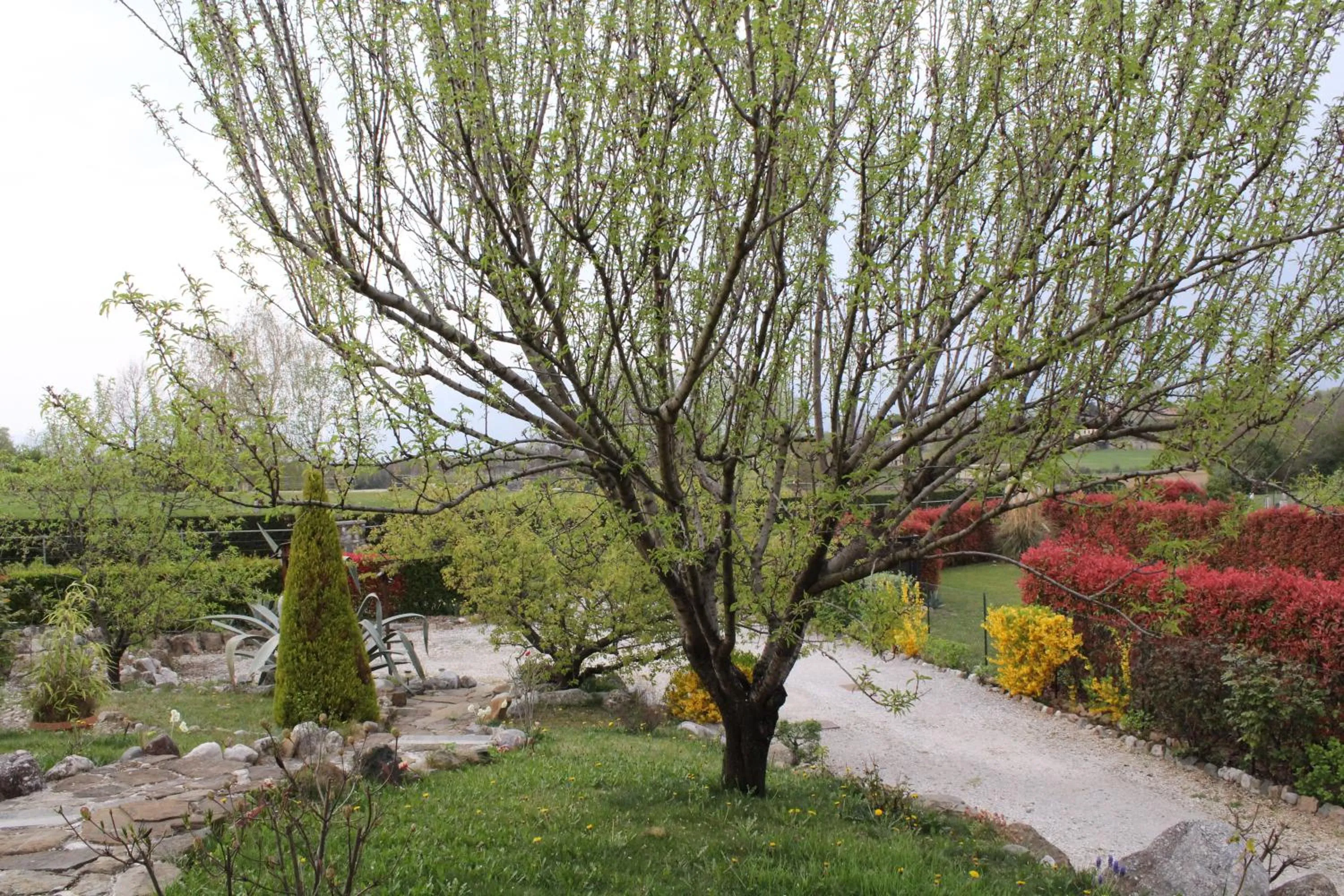 Garden in A Cjase di Sandra