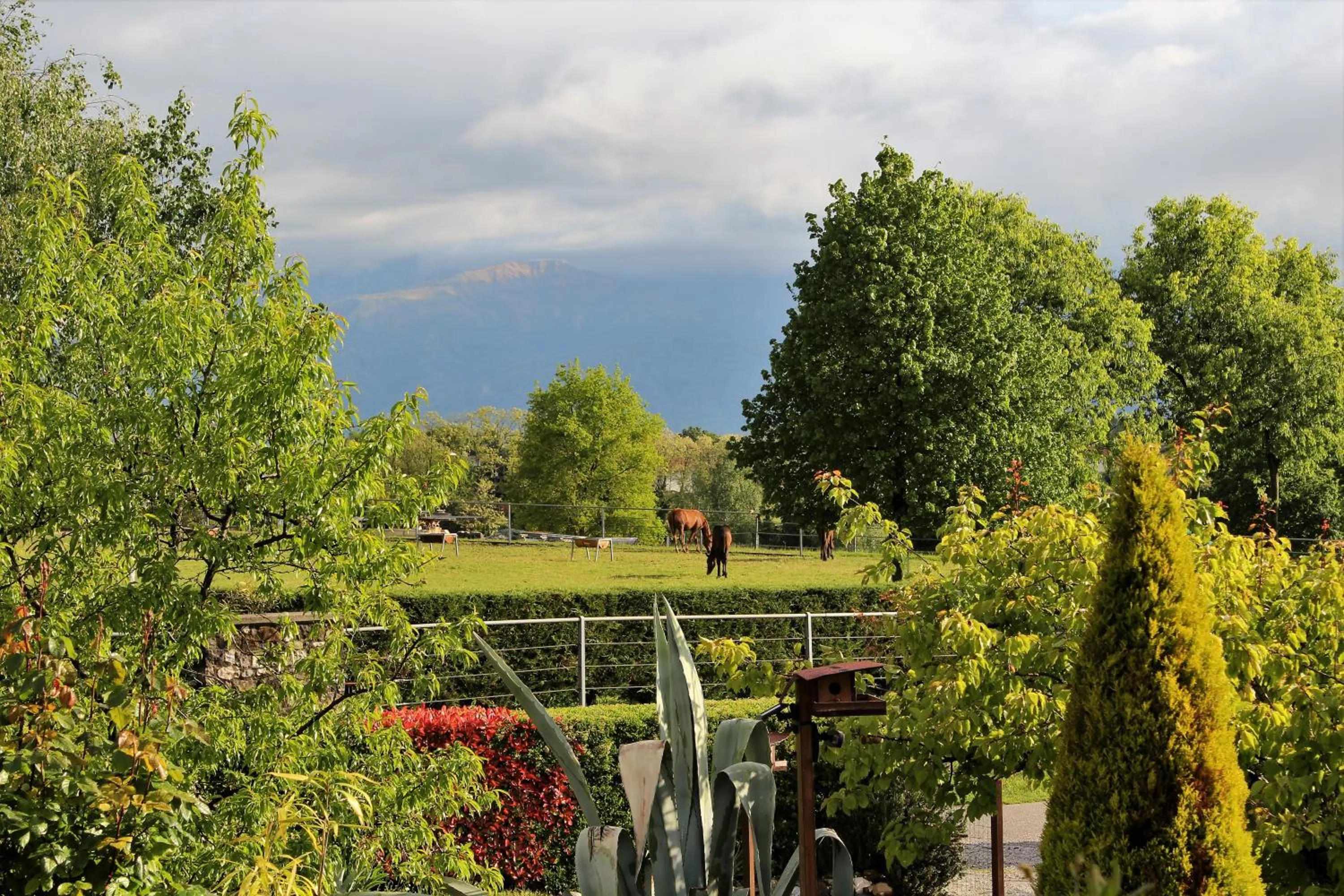 Spring in A Cjase di Sandra