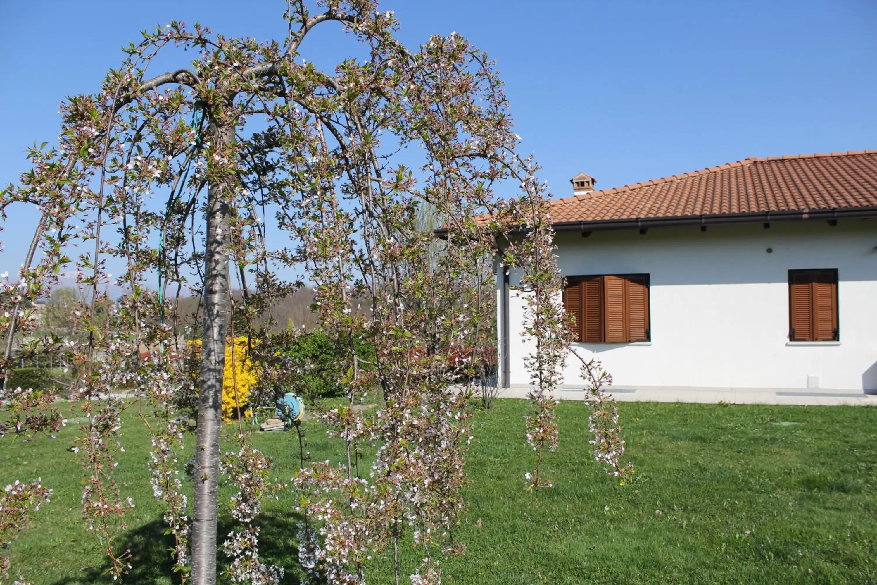 Garden in A Cjase di Sandra