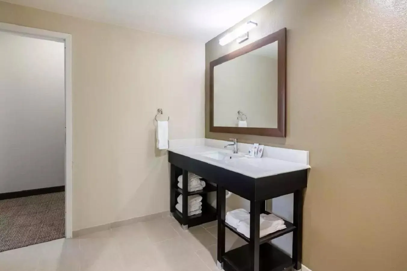 Bathroom in Comfort Suites Meridian and I-40