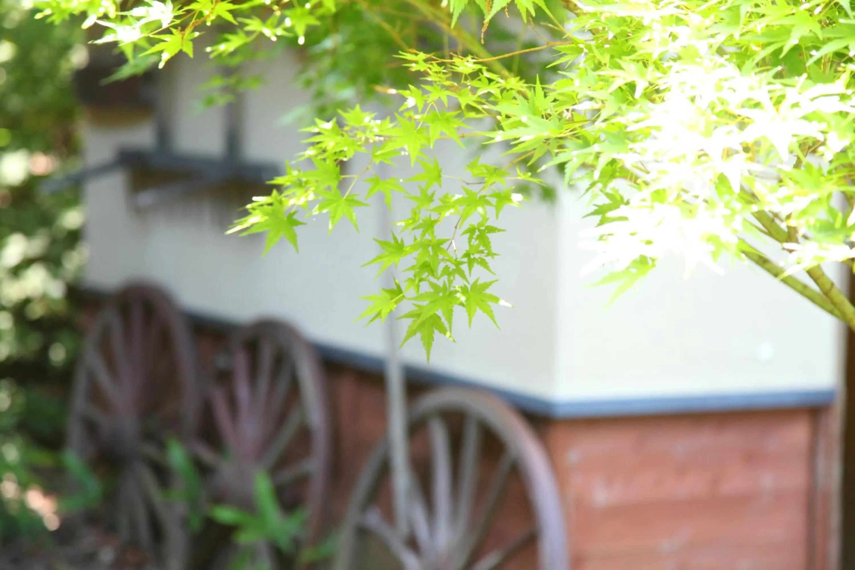 Other in Chikurakutei