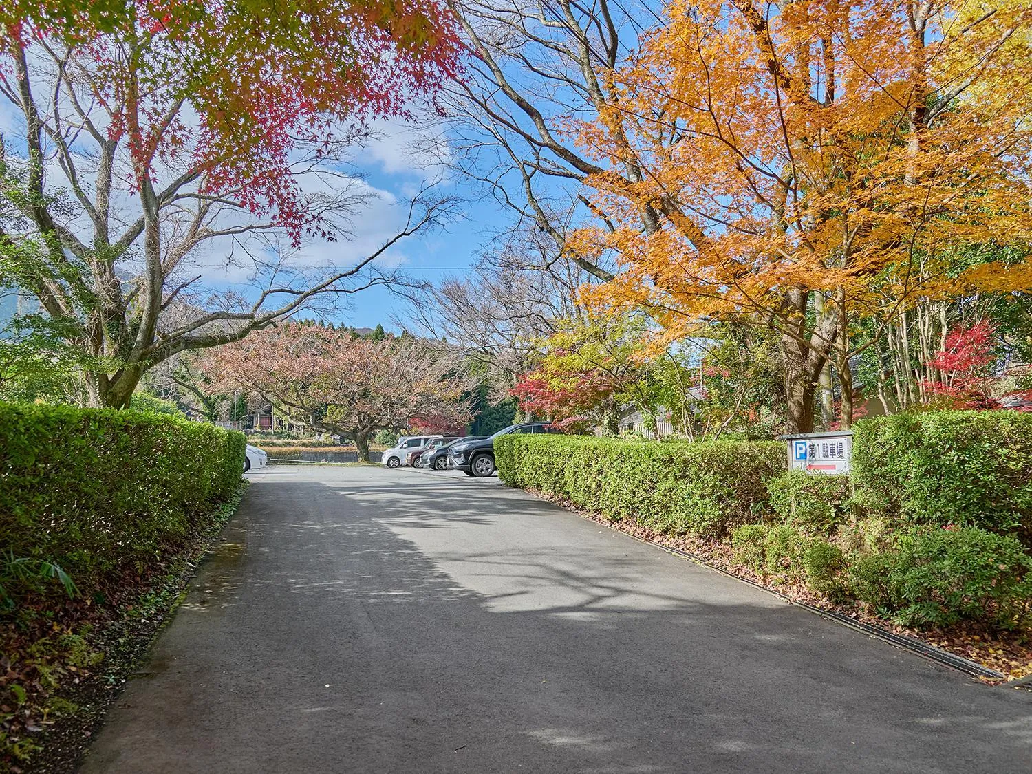 Area and facilities in Chikurakutei