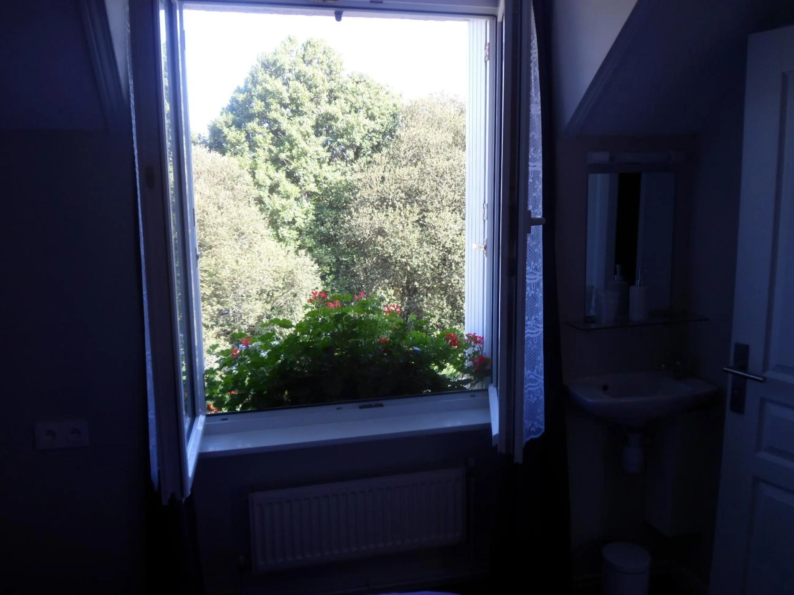 Street view in Riverside Bed and Breakfast