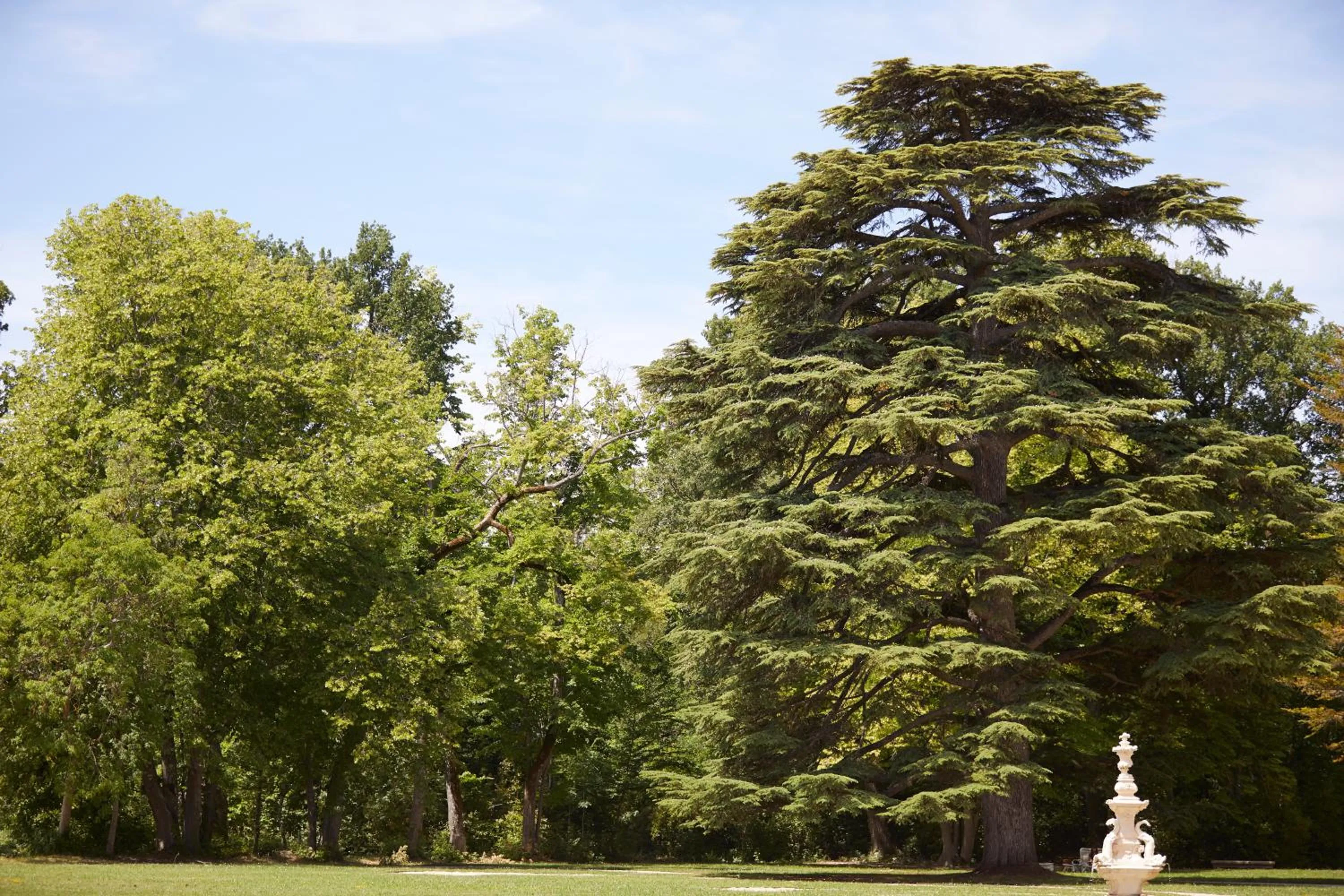 Garden in Château de Fonscolombe