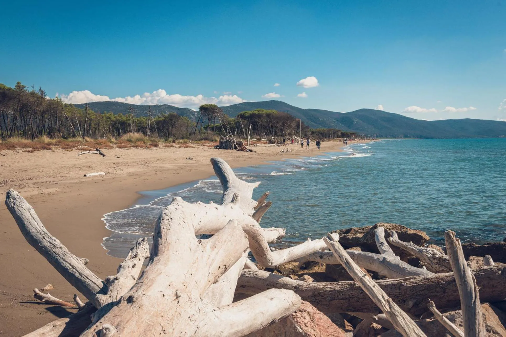Beach in Poggiolivi Agriturismo Bio in Maremma