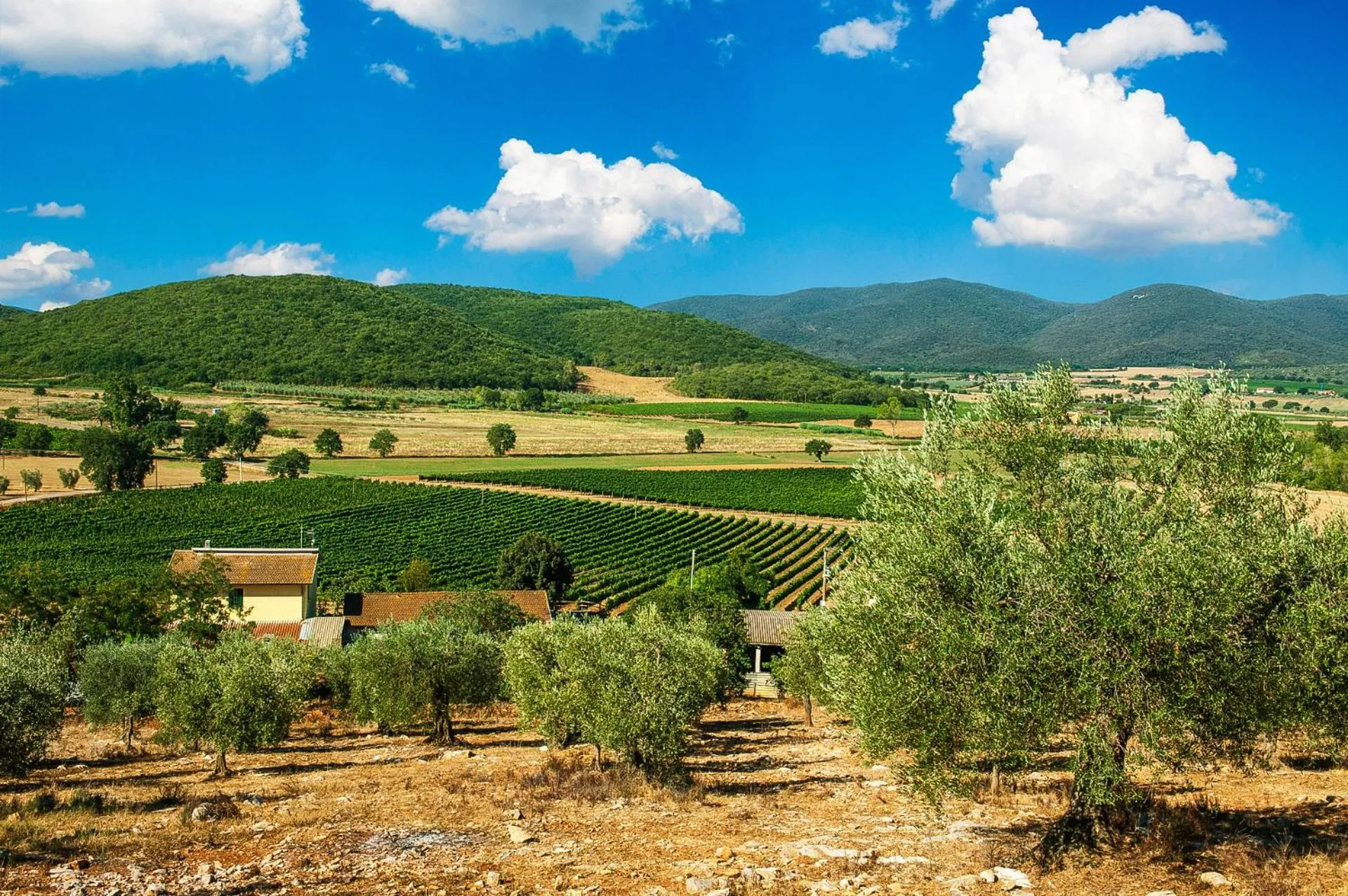 Property building in Poggiolivi Agriturismo Bio in Maremma