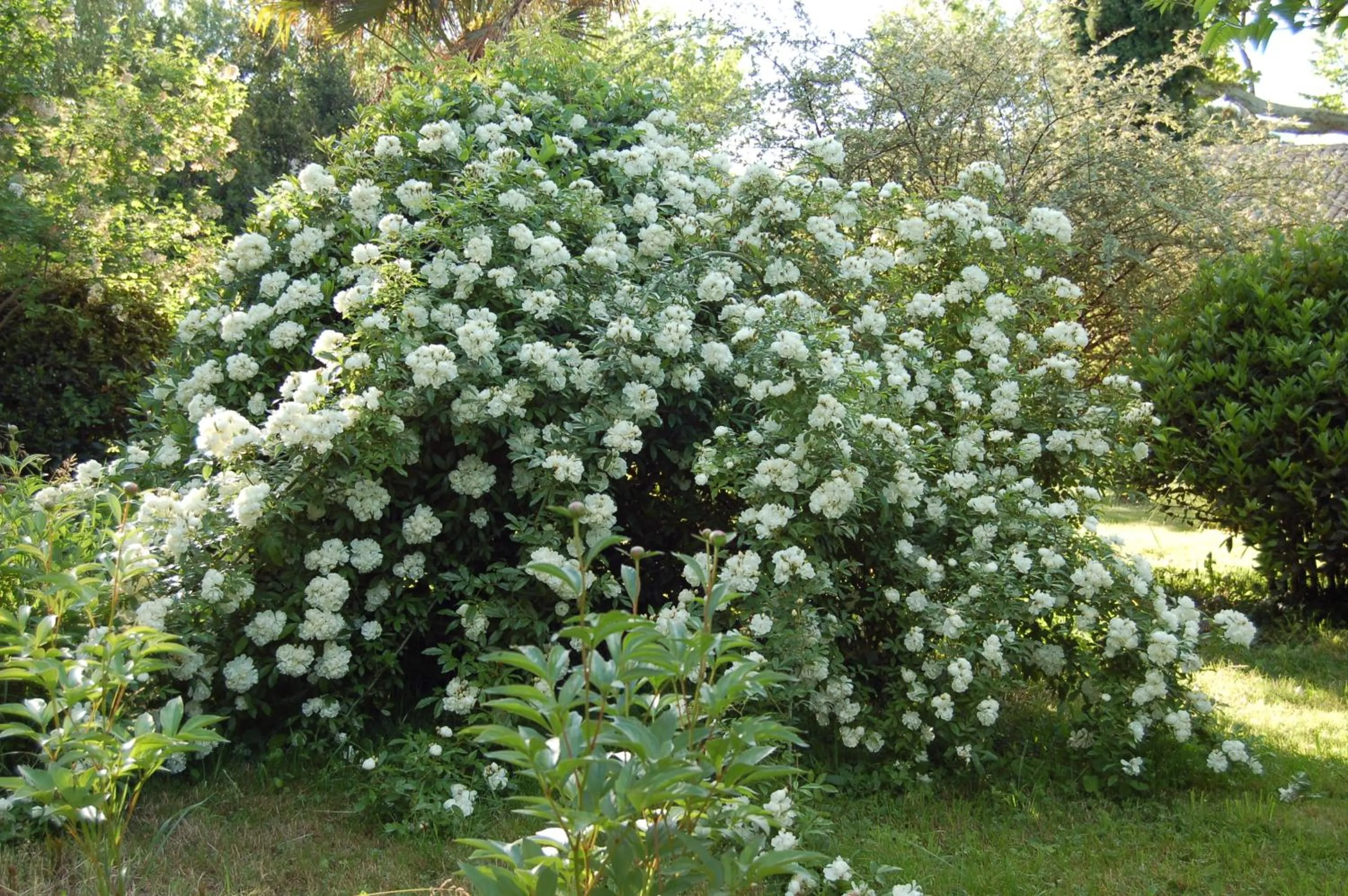 Day in Le Mas Ferrand