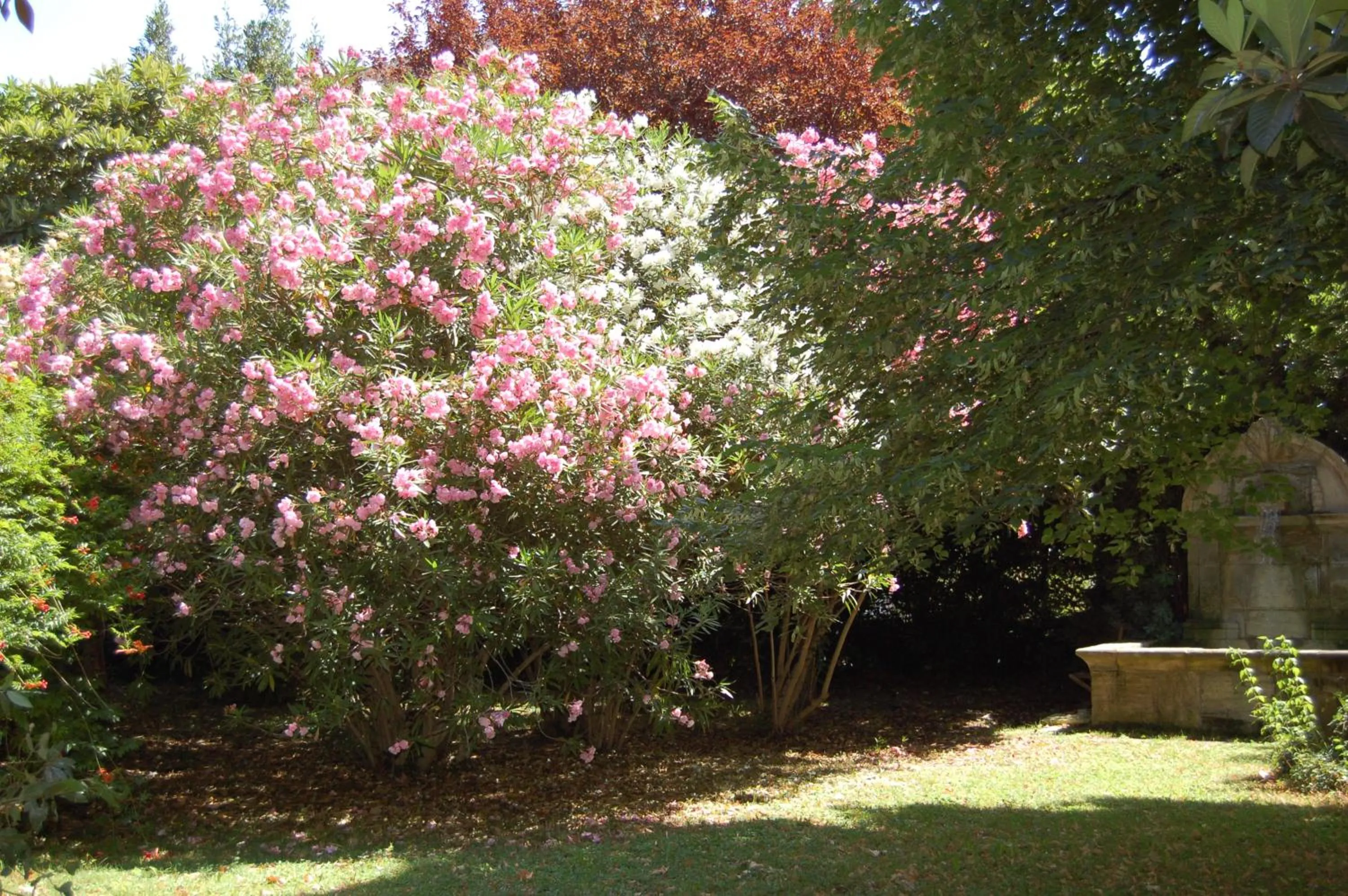 Garden in Le Mas Ferrand