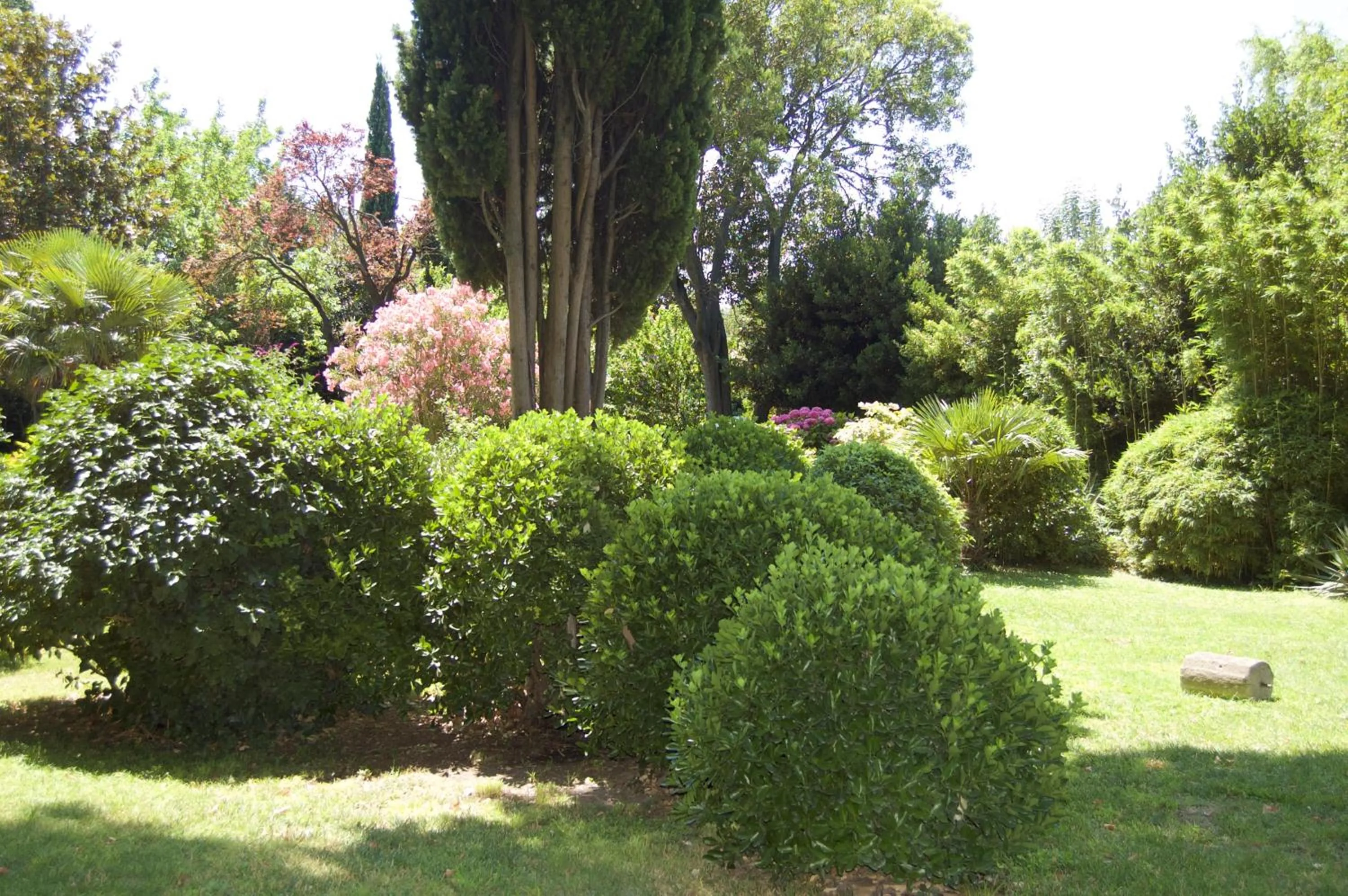 Day in Le Mas Ferrand