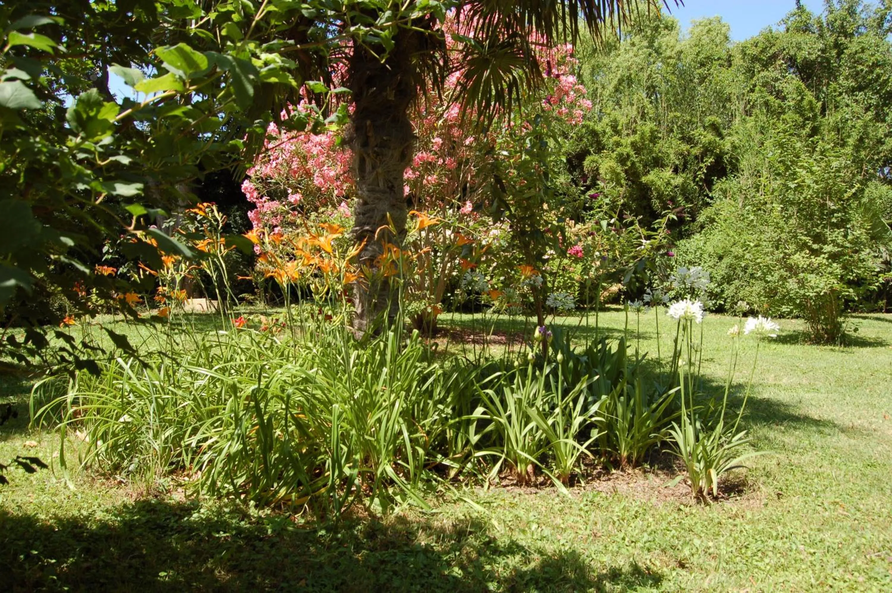 Garden in Le Mas Ferrand
