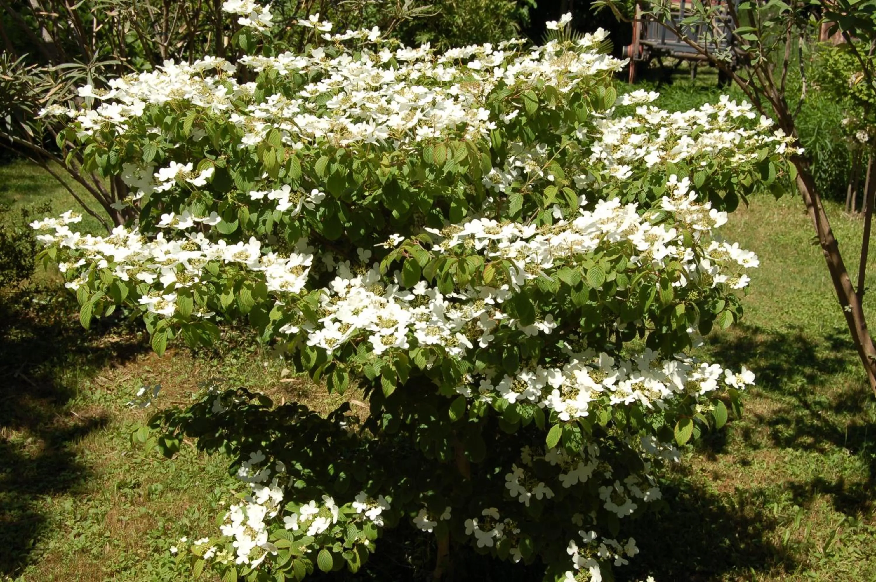 Day in Le Mas Ferrand