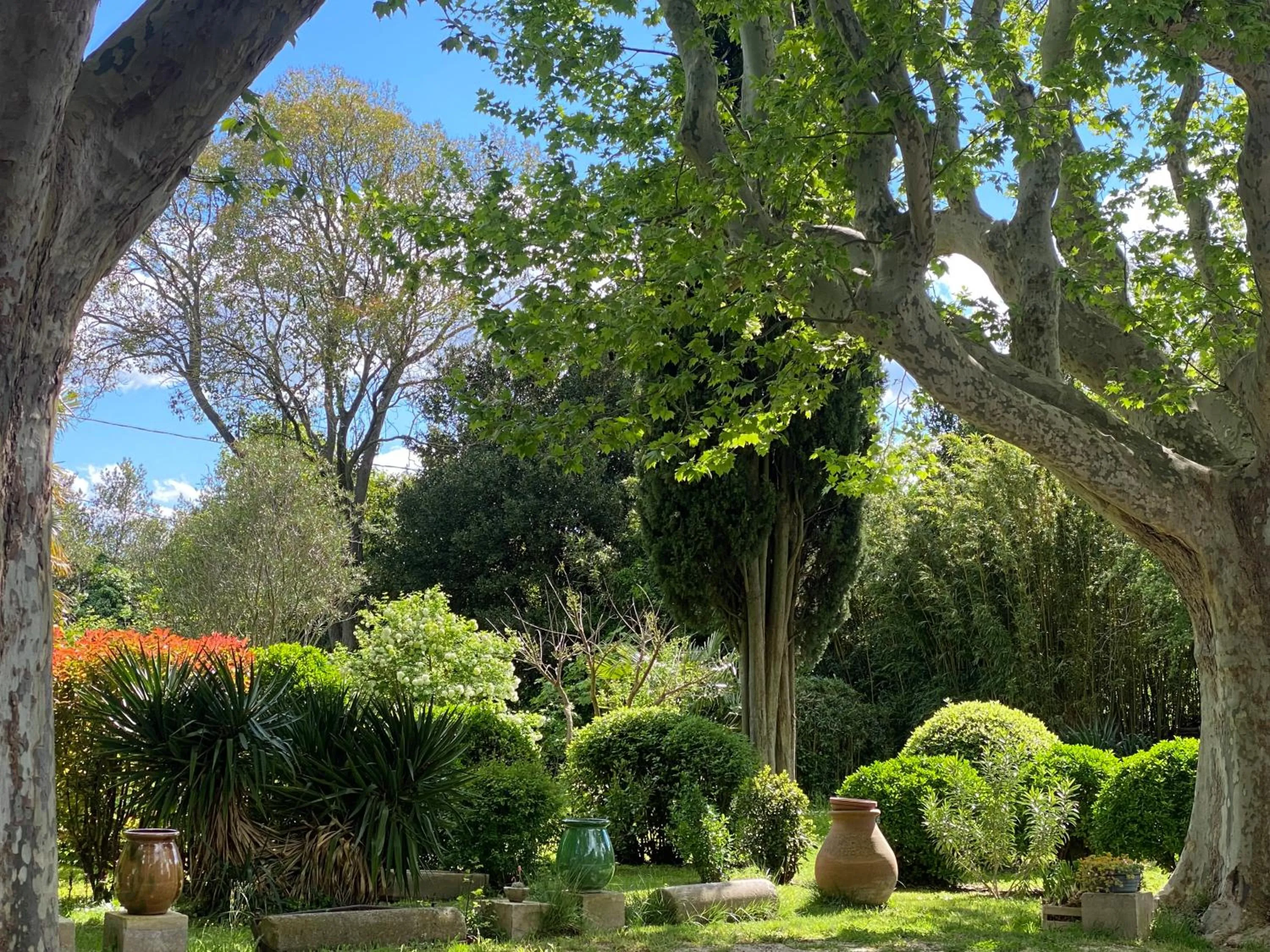 Garden view in Le Mas Ferrand