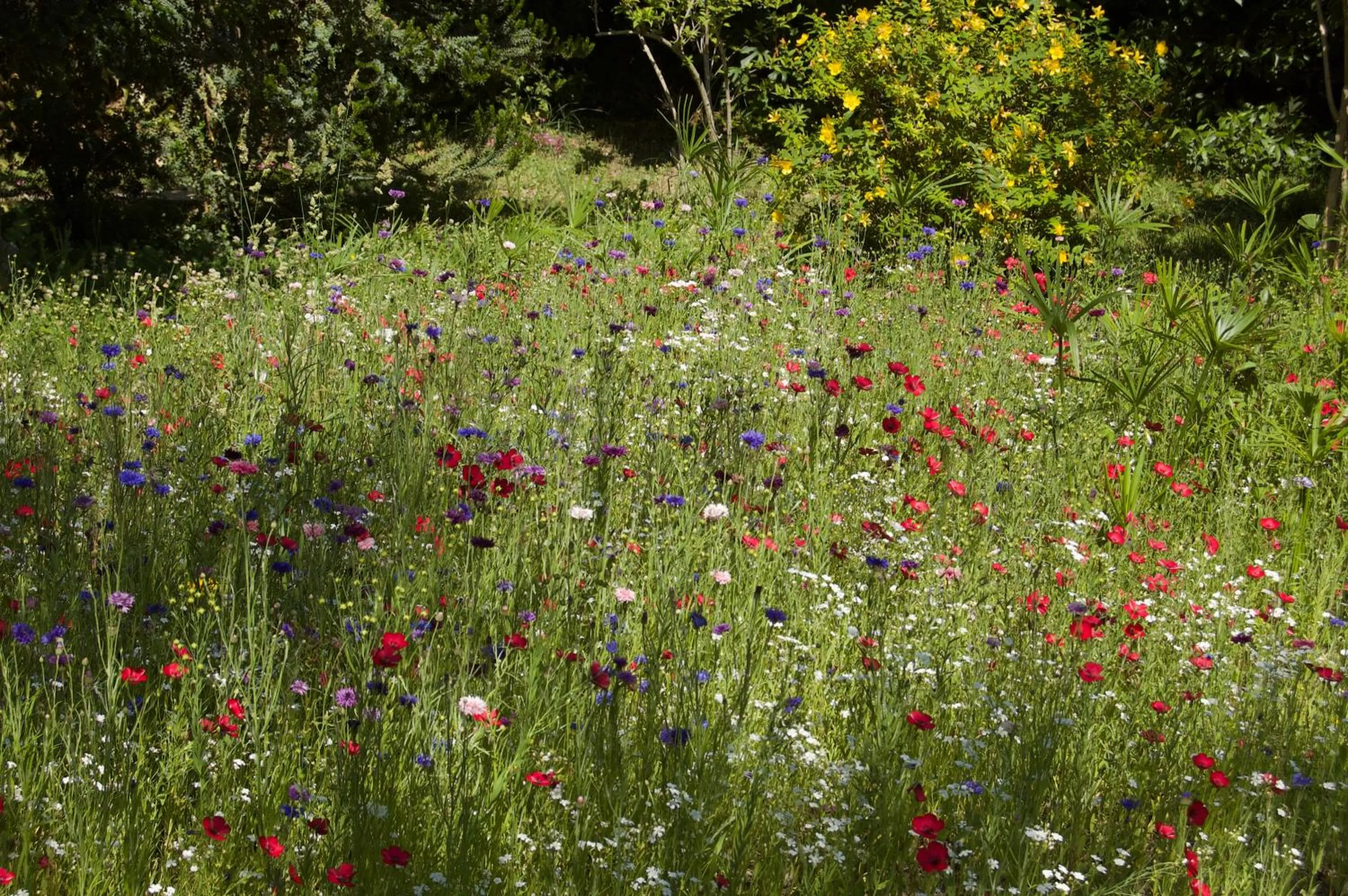 Garden in Le Mas Ferrand