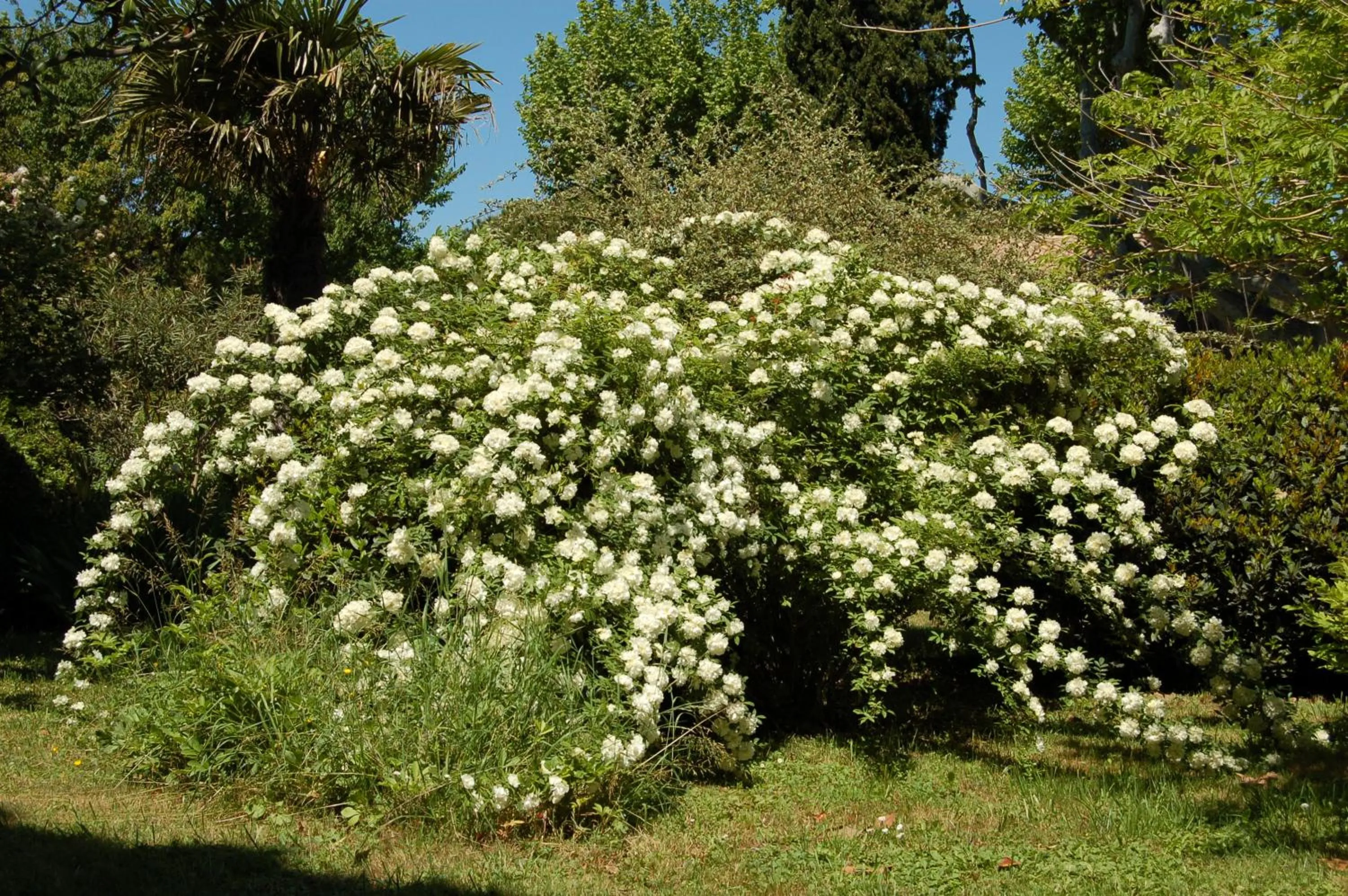 Day in Le Mas Ferrand