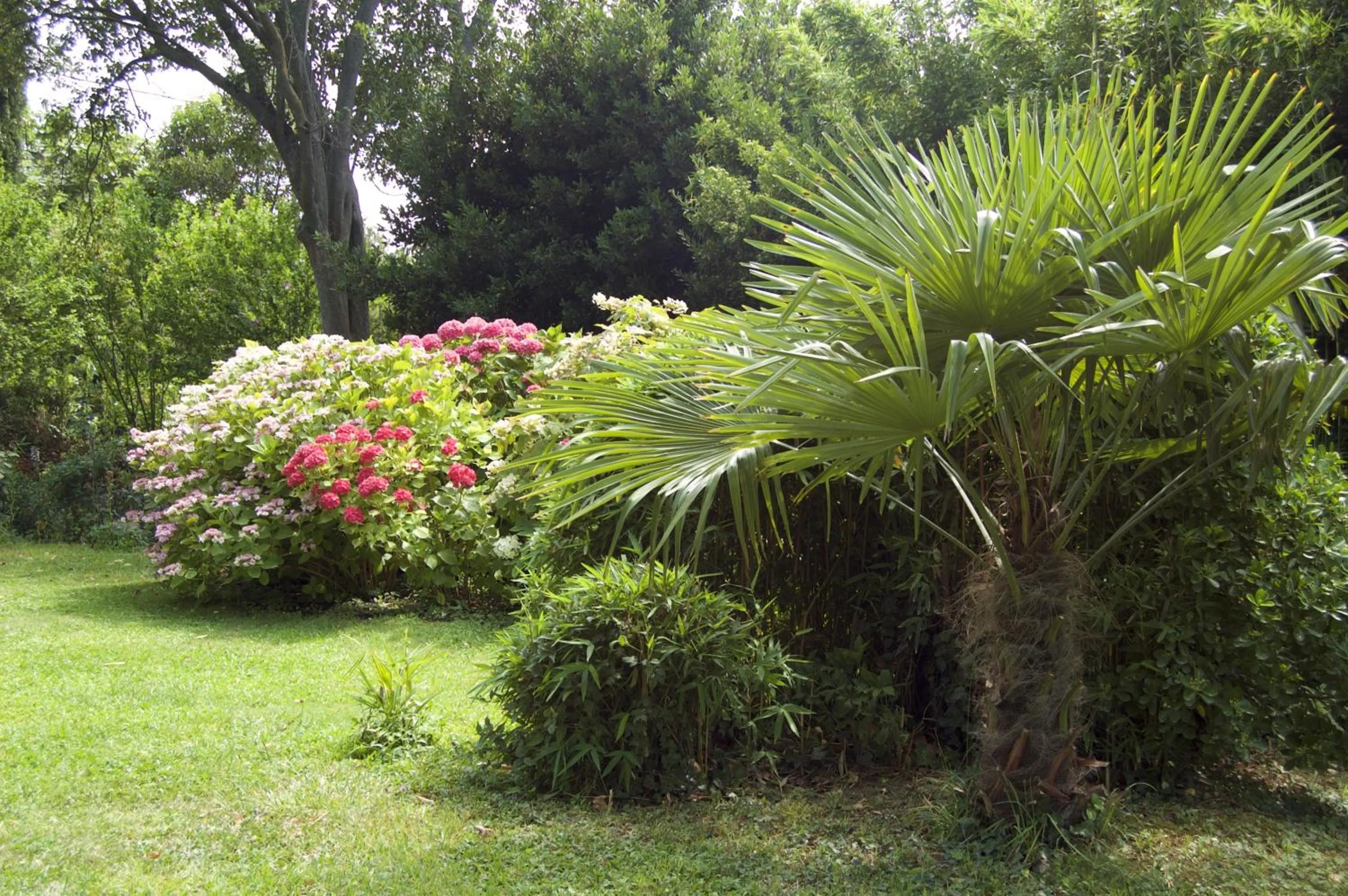Garden in Le Mas Ferrand