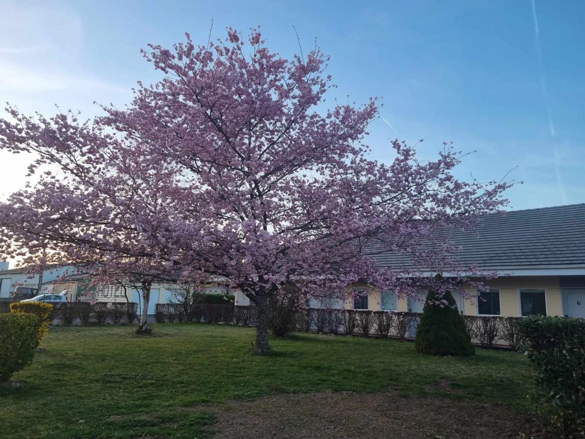 Garden in The Originals Access, Hôtel Le Lutéa