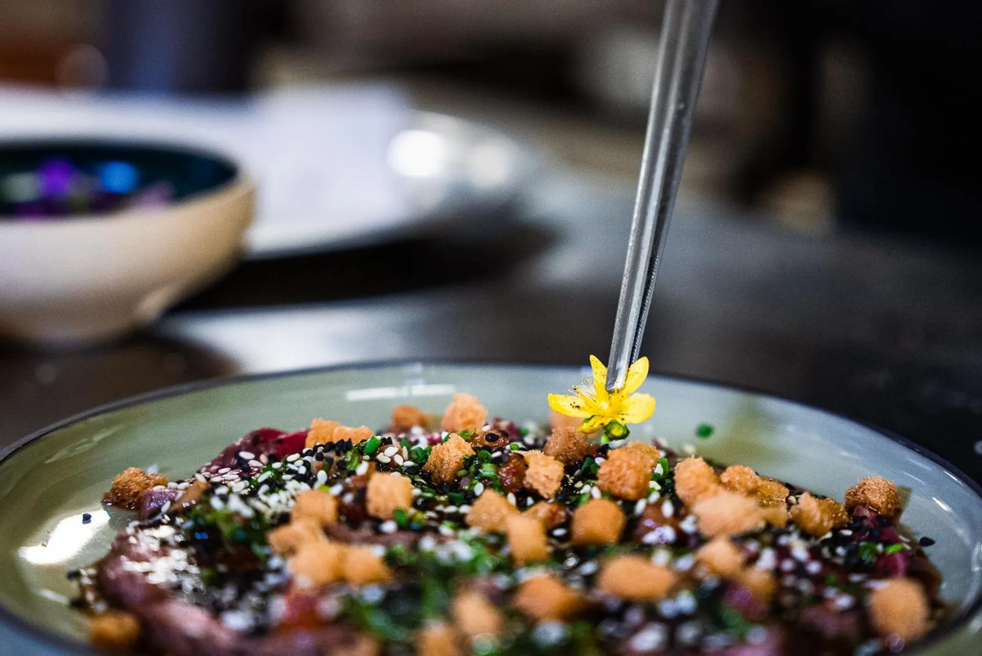 Food close-up in Les Cèdres - Hôtel - Restaurants - Spa