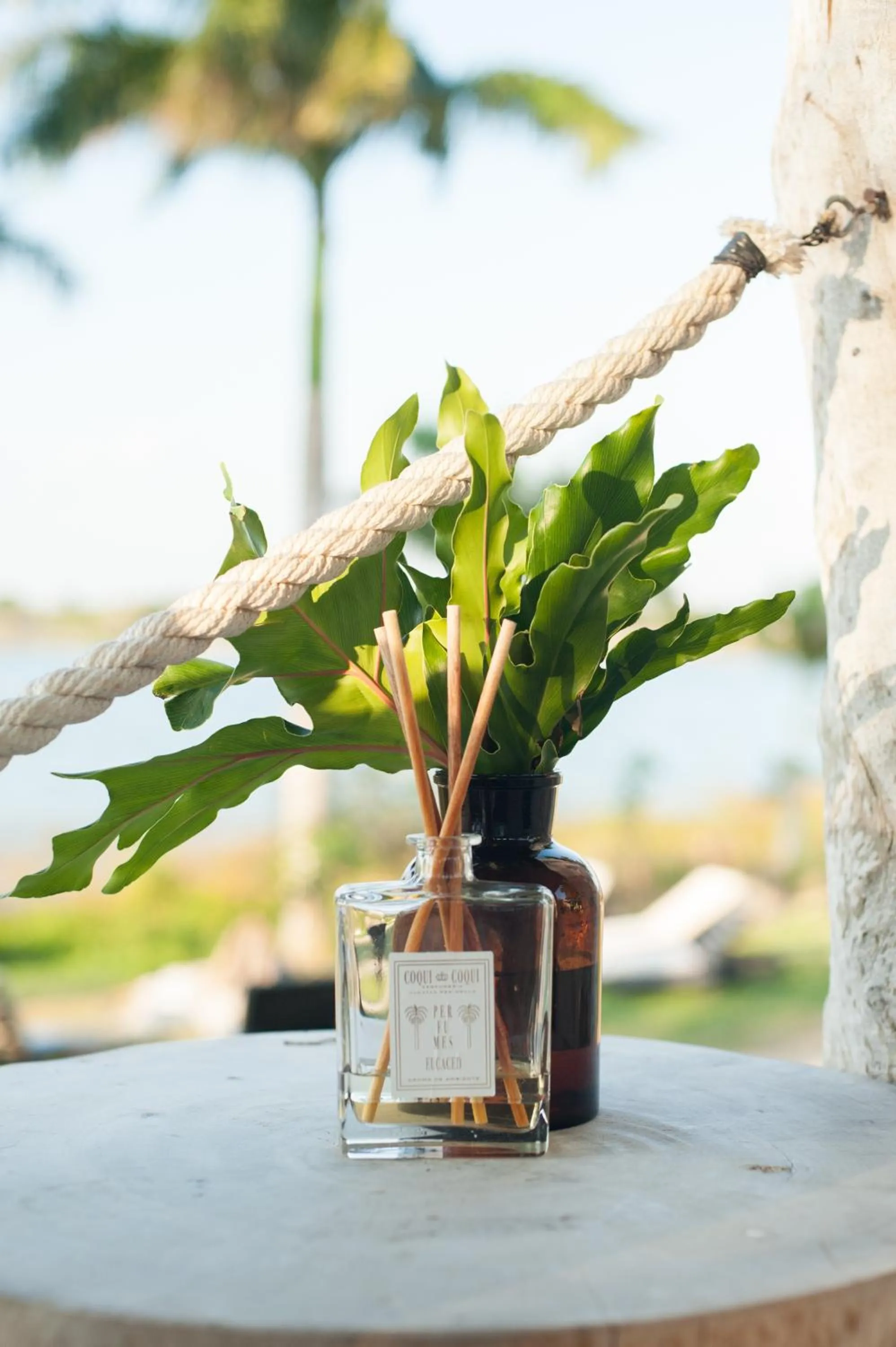 Day in Coqui Coqui Papholchac Coba Residence & Spa