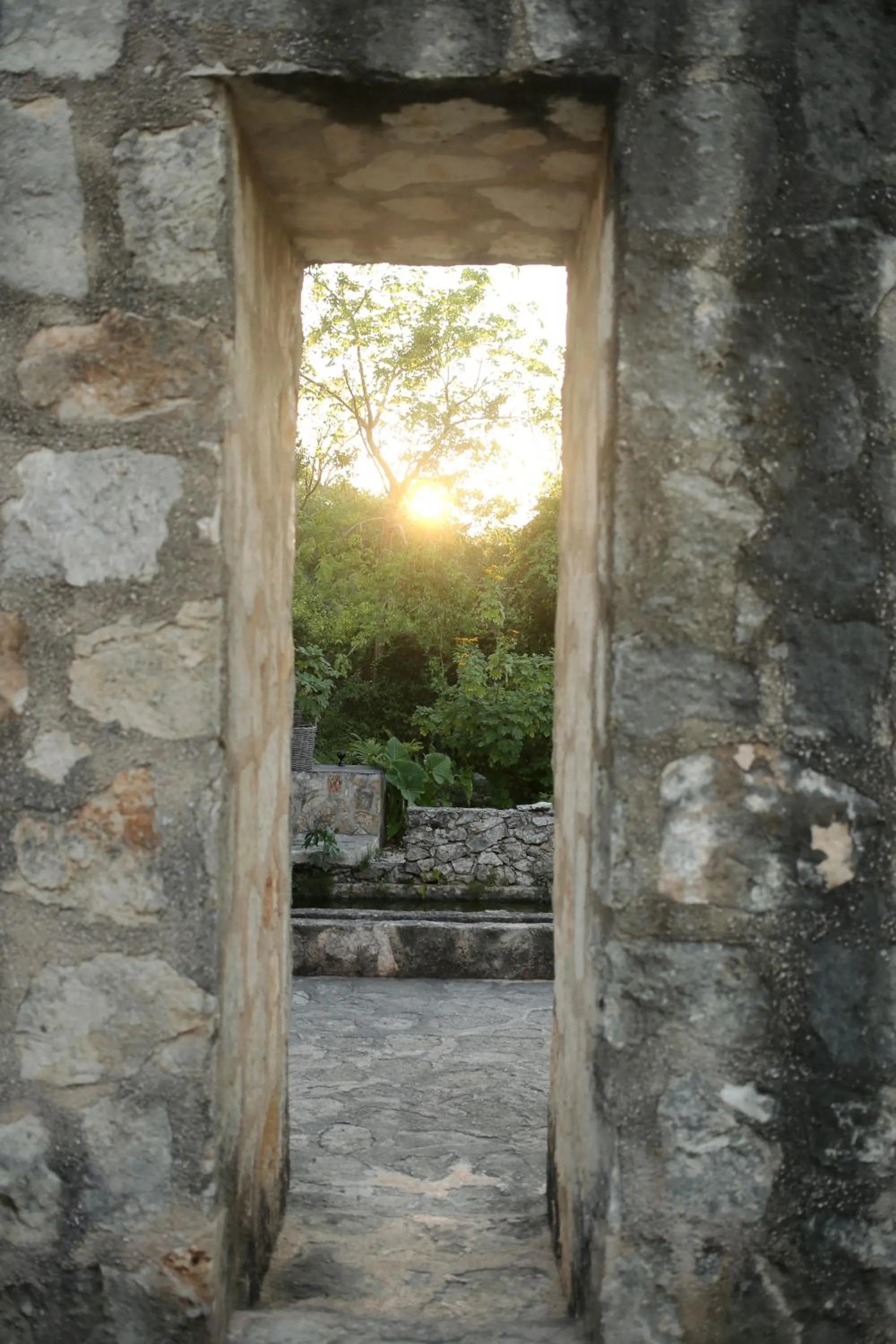 Natural landscape in Coqui Coqui Papholchac Coba Residence & Spa