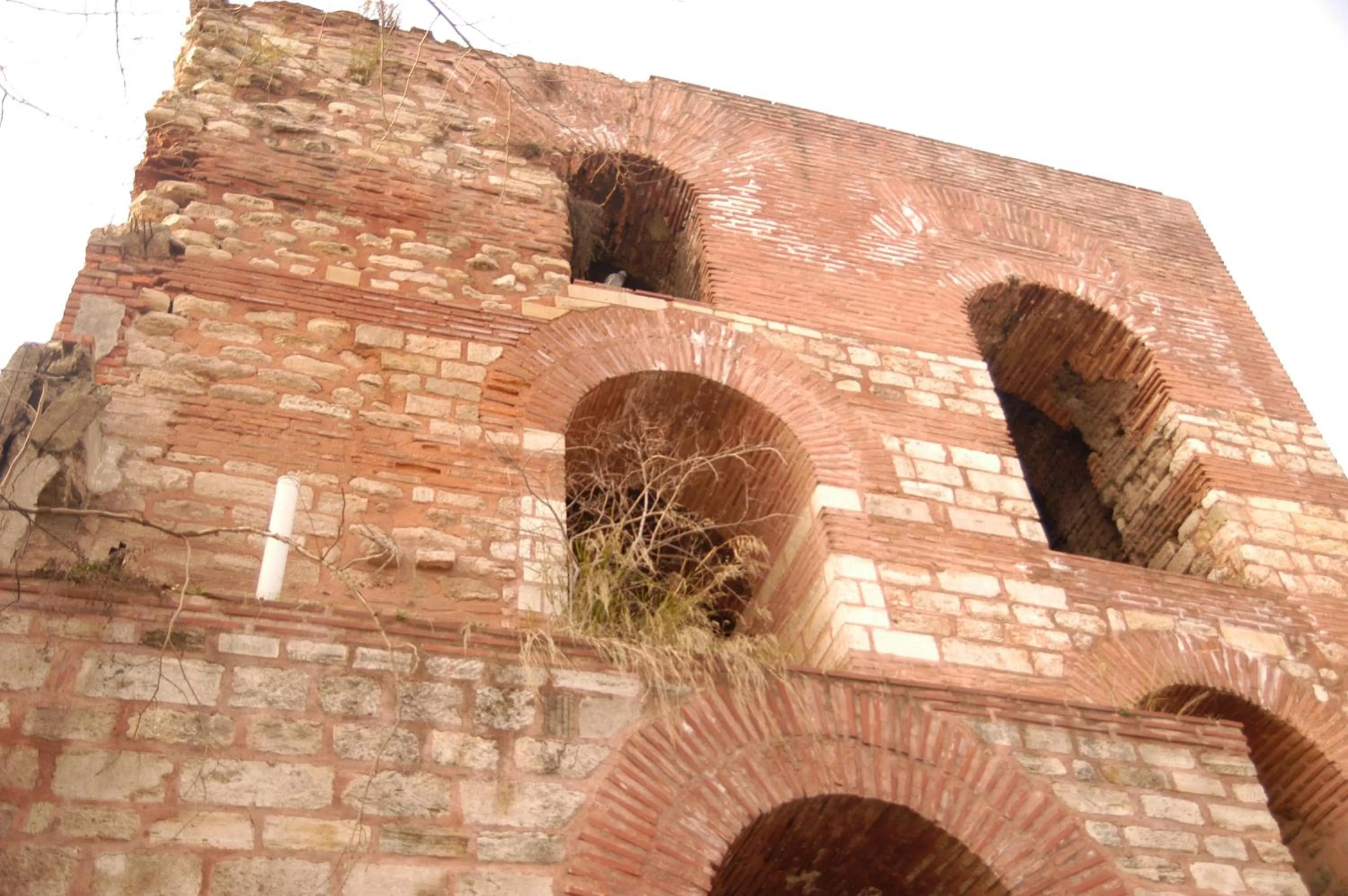 View (from property/room) in Magnaura House Hotel