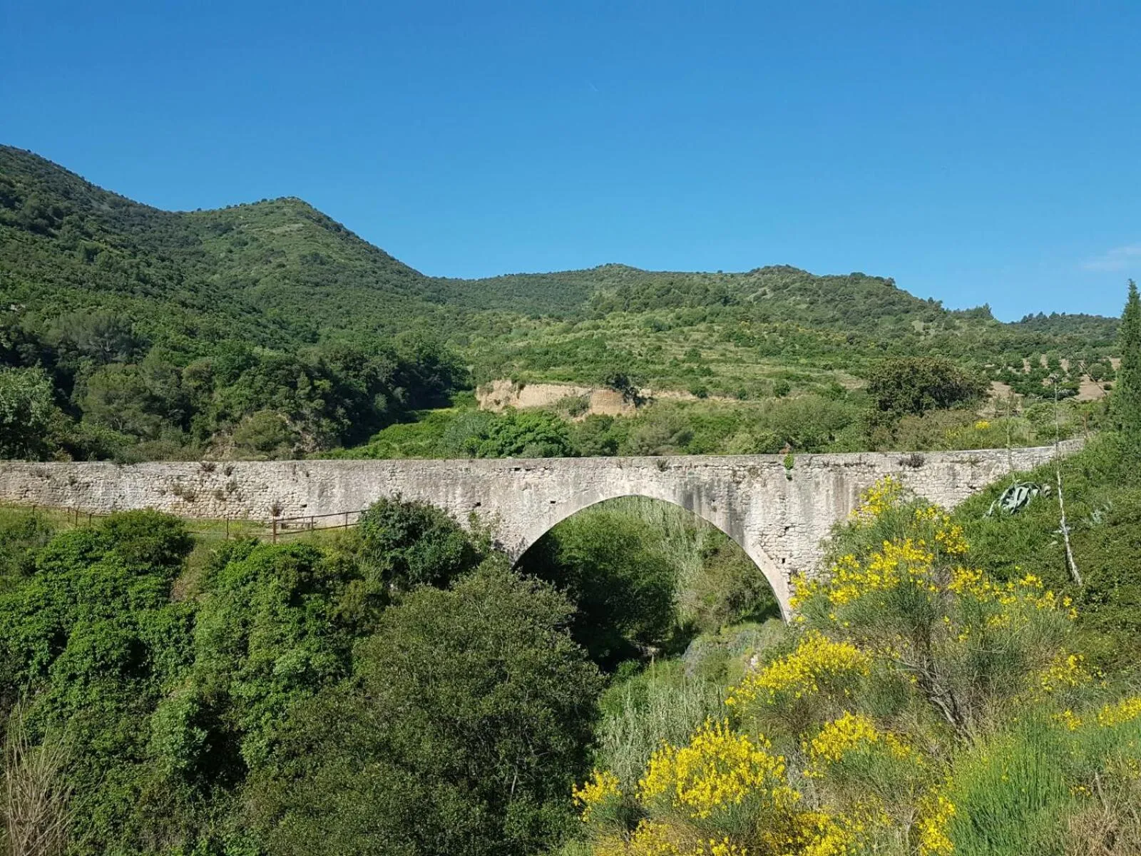 Other in Mas del Sord 1335