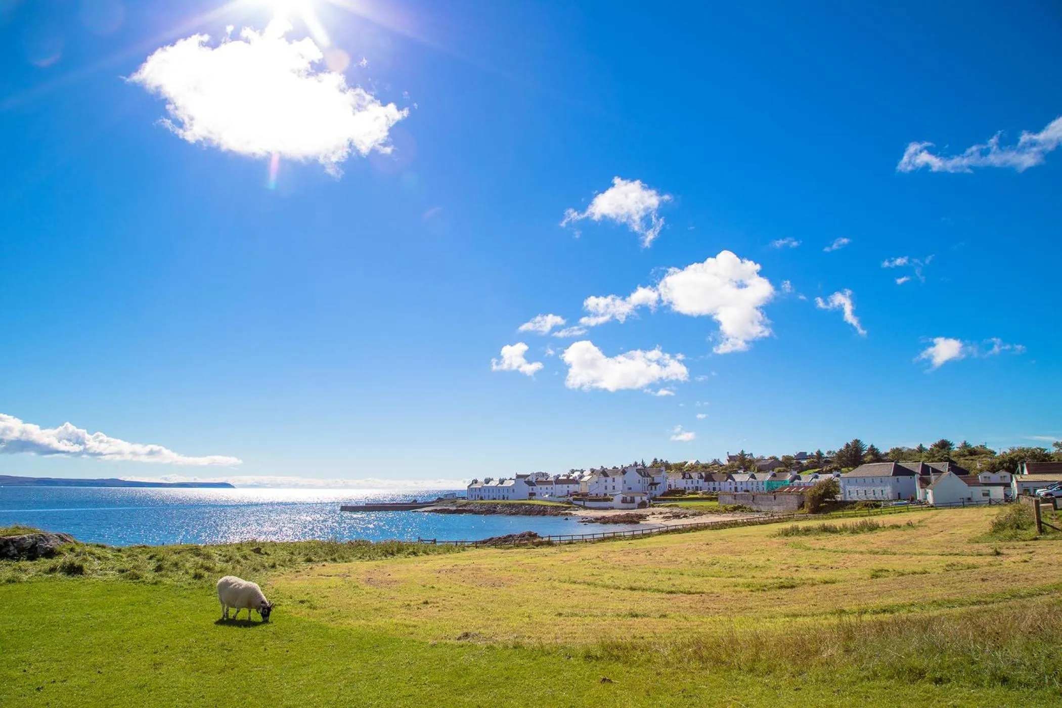 Natural landscape in Port Charlotte Hotel