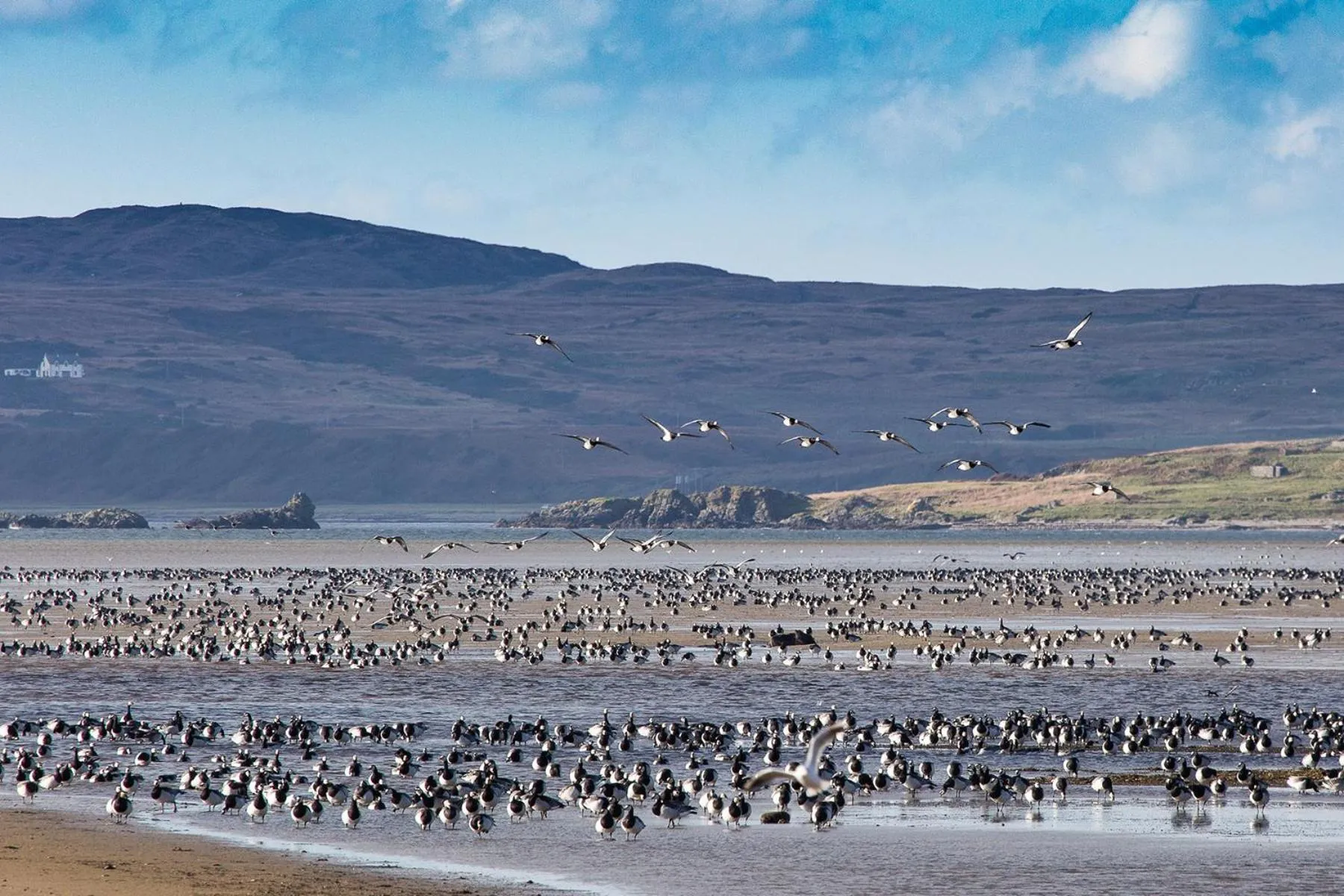 Spring in Port Charlotte Hotel