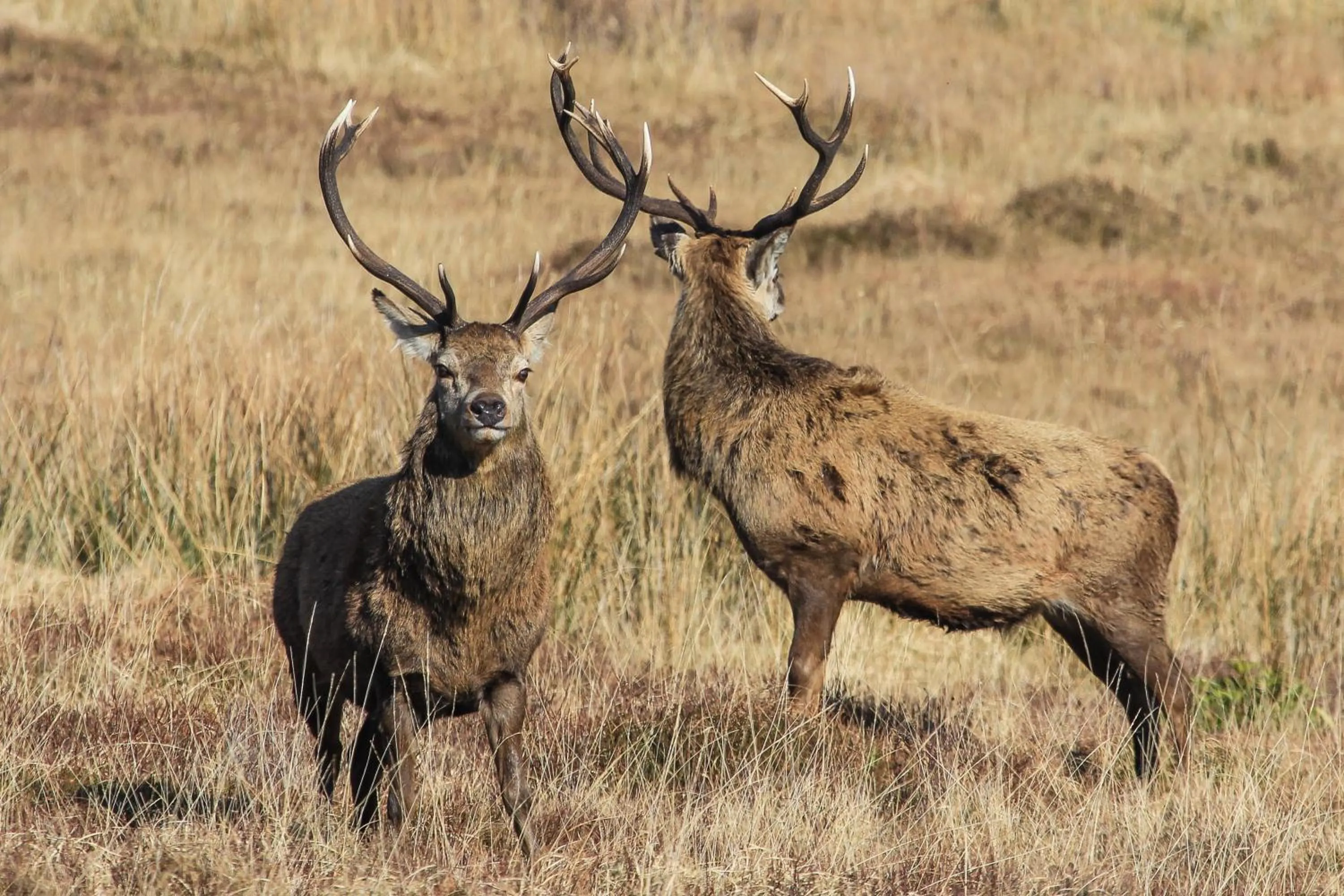 Natural landscape in Port Charlotte Hotel