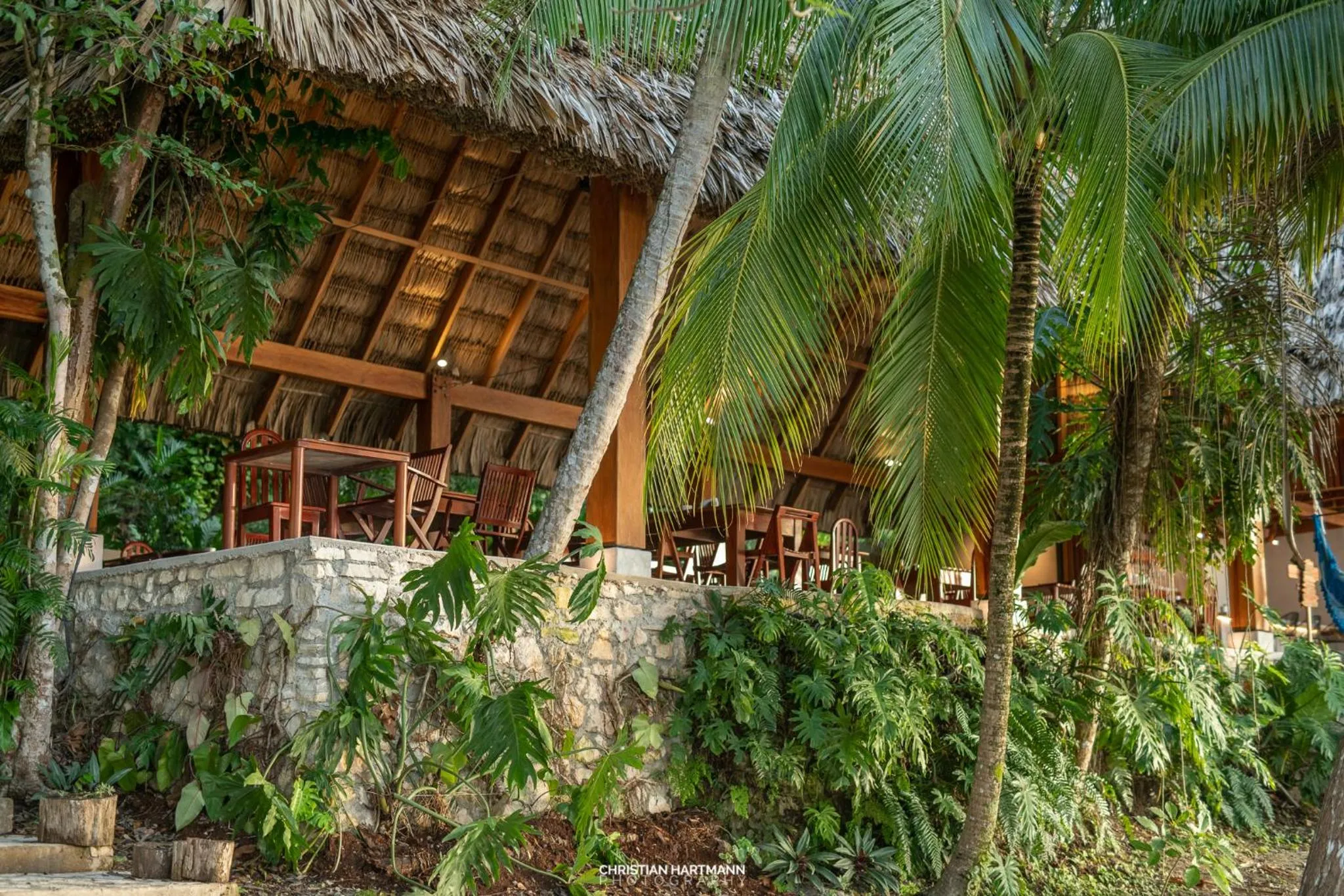 Property building in Hotel Gringo Perdido