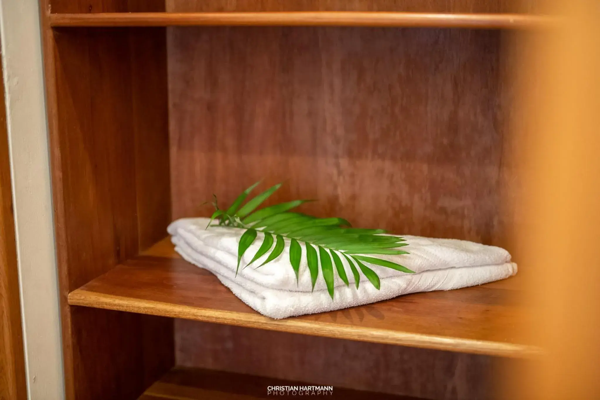 King Room - single occupancy in Hotel Gringo Perdido King Room - single occupancy in Hotel Gringo Perdido