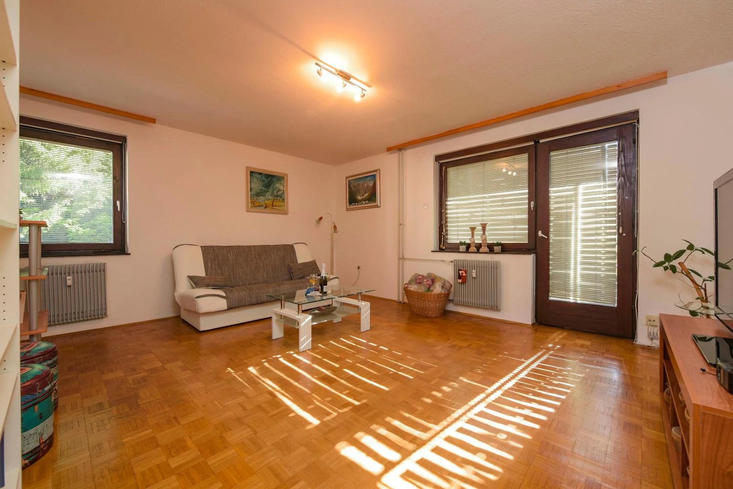 TV and multimedia in Apartments Rikli Bled