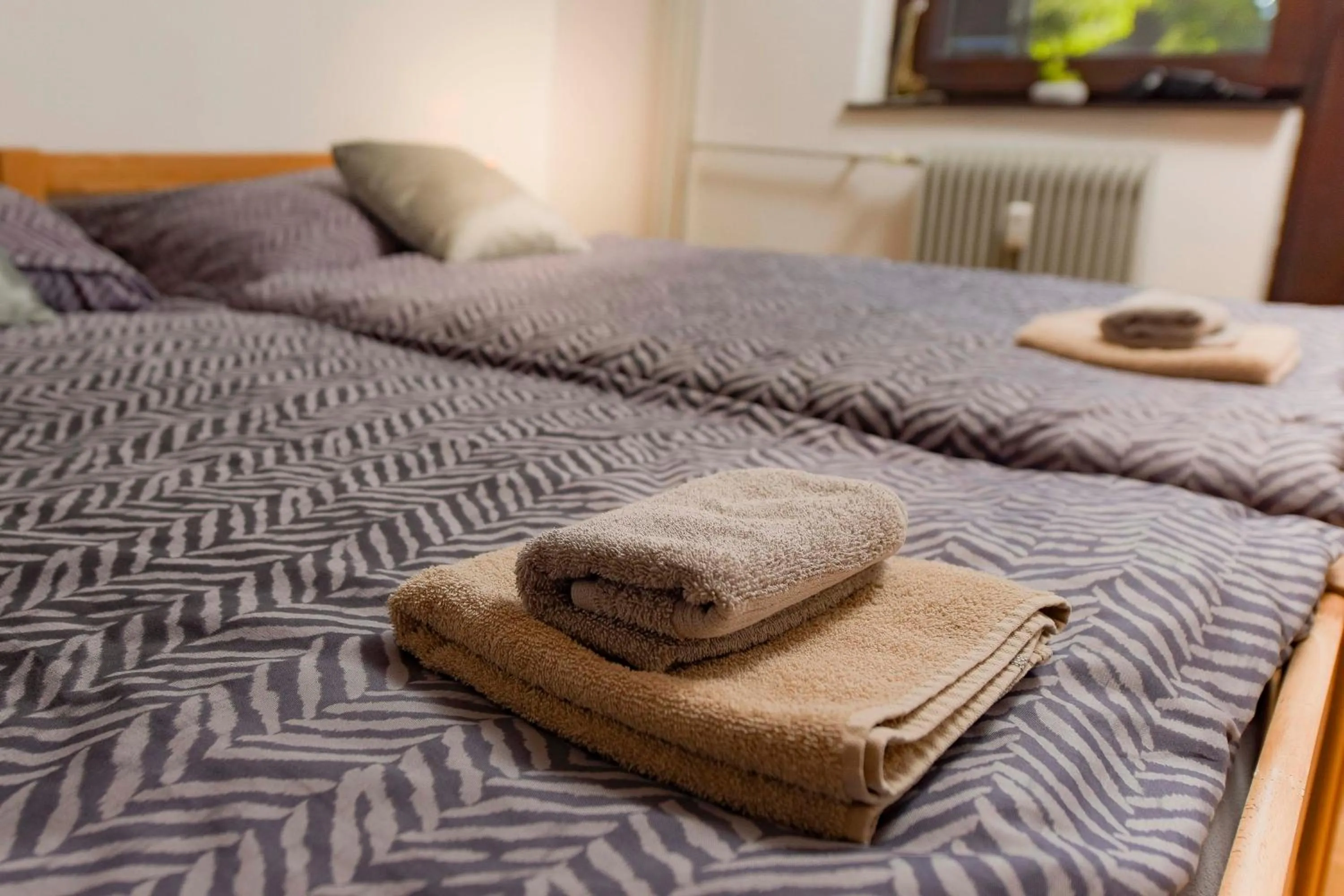 Bedroom in Apartments Rikli Bled