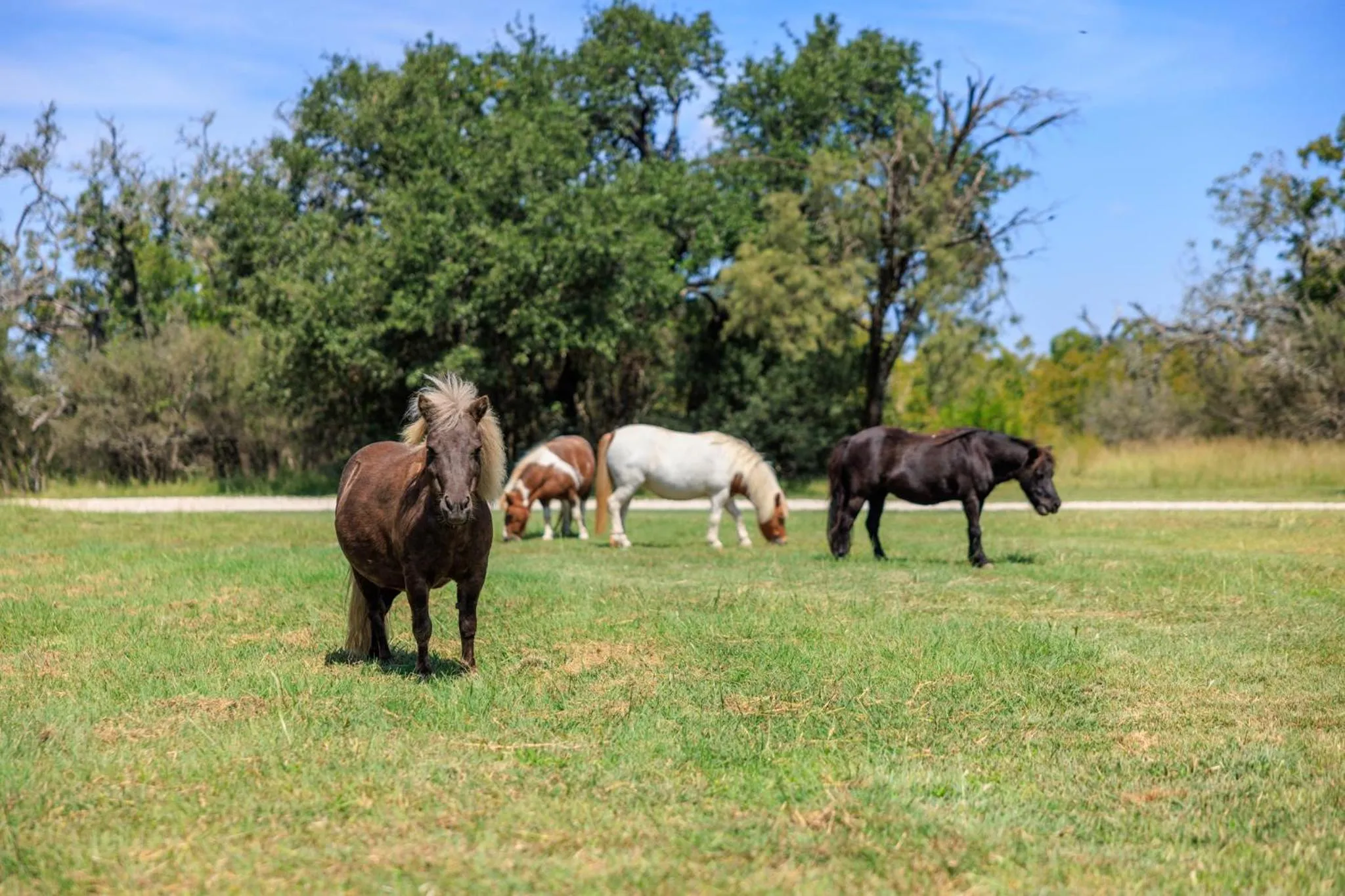 City on a Hill at Spring Creek